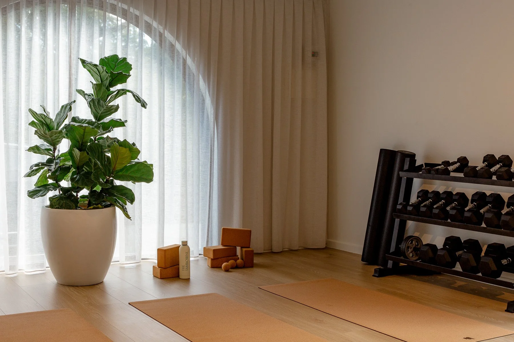 The Tamborine_02-2025-WR-0159.jpg