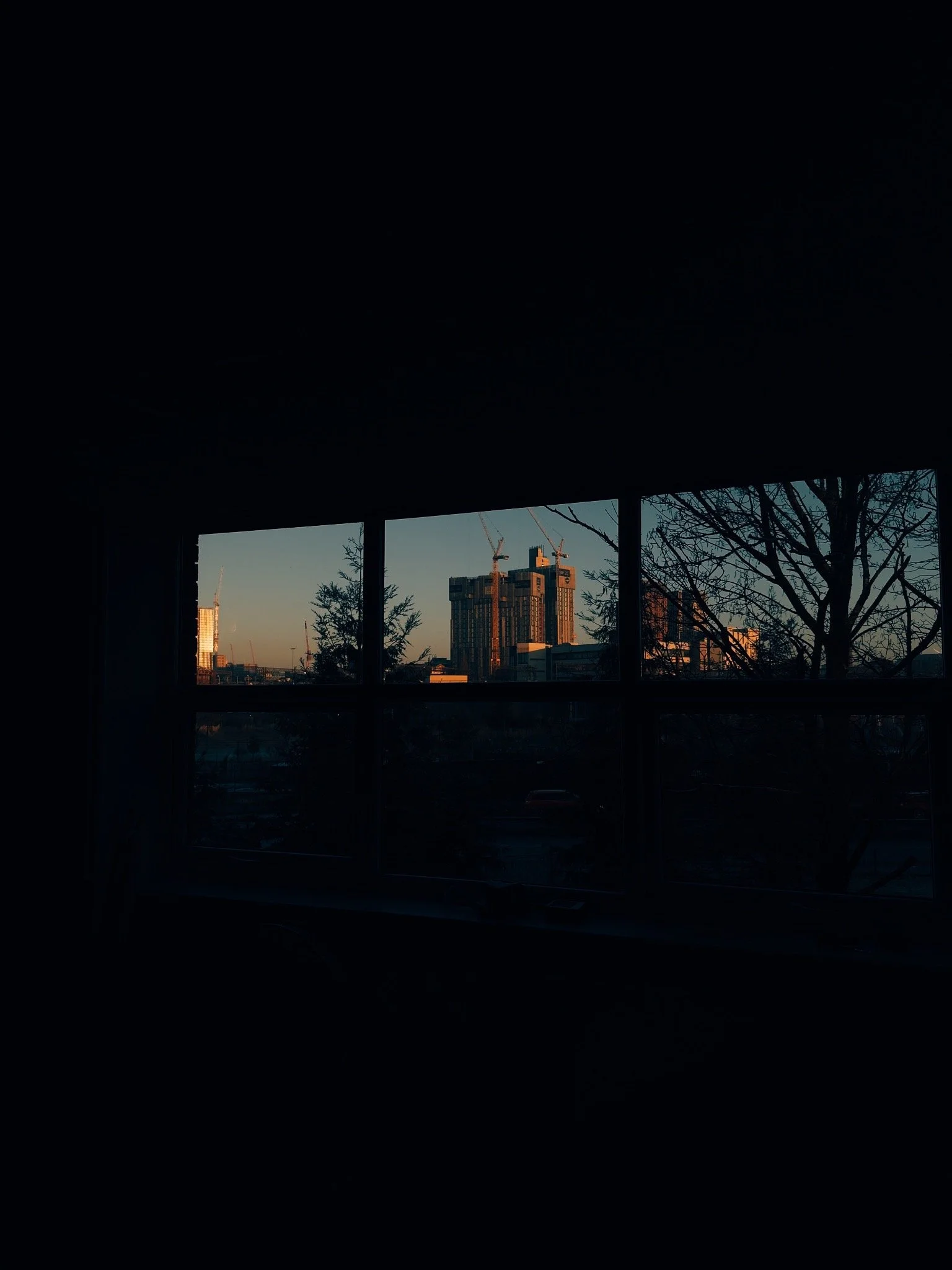 City skyline with tall buildings under construction seen through a window during sunset, with trees silhouetted in the foreground.
