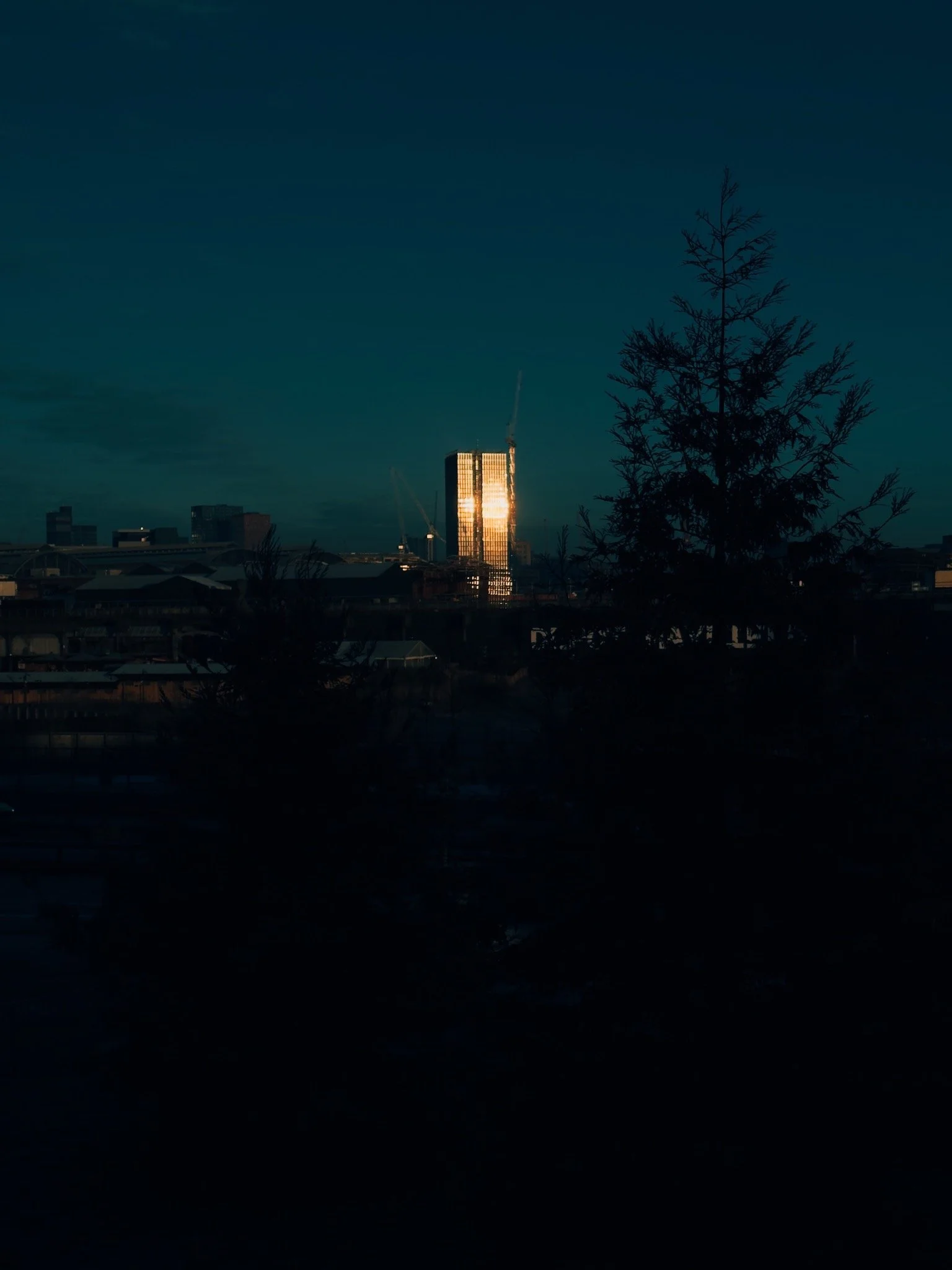 City skyline at dusk with a tall building reflecting sunlight, partially obscured by dark silhouettes of trees in the foreground.