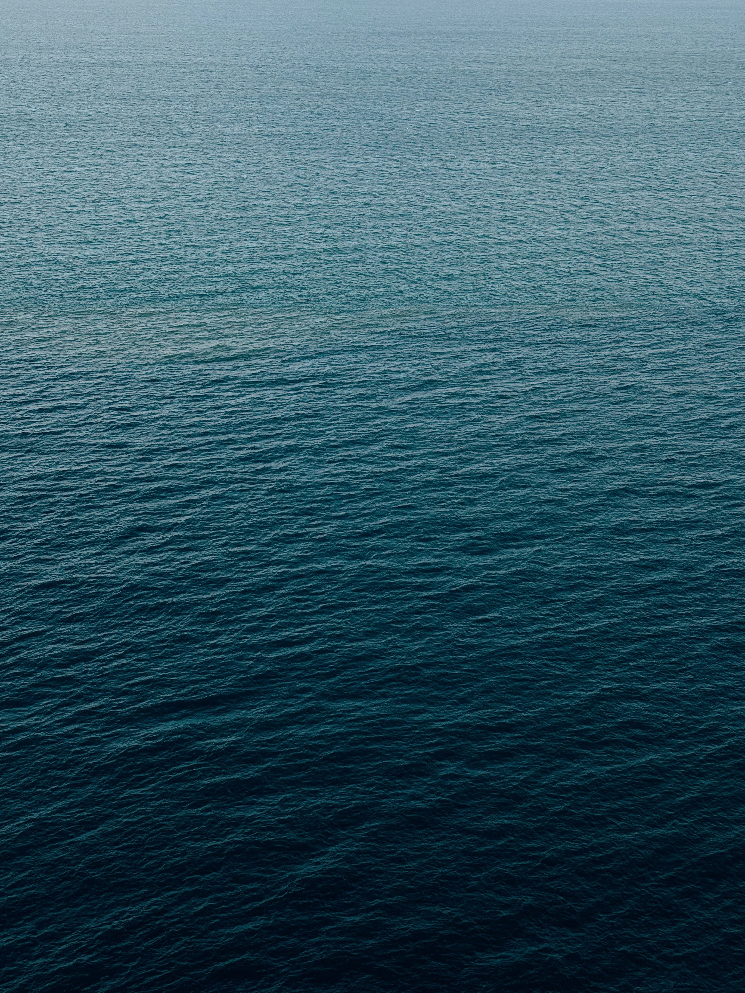F4338523-FE72-49FC-BF3F-820A210C348F.JPG