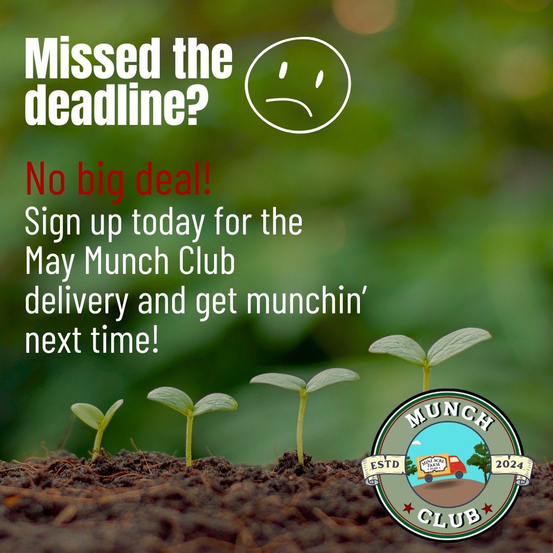 Our April delivery is done! Missed the deadline? 😥
Don't worry - we deliver monthly. So, sign up for our next delivery in May today! 🥰
🌸 Sign up here: https://miniacrefarmstore.square.site/
🌸 To know more: https://www.miniacrefarm.com/the-munch-c
