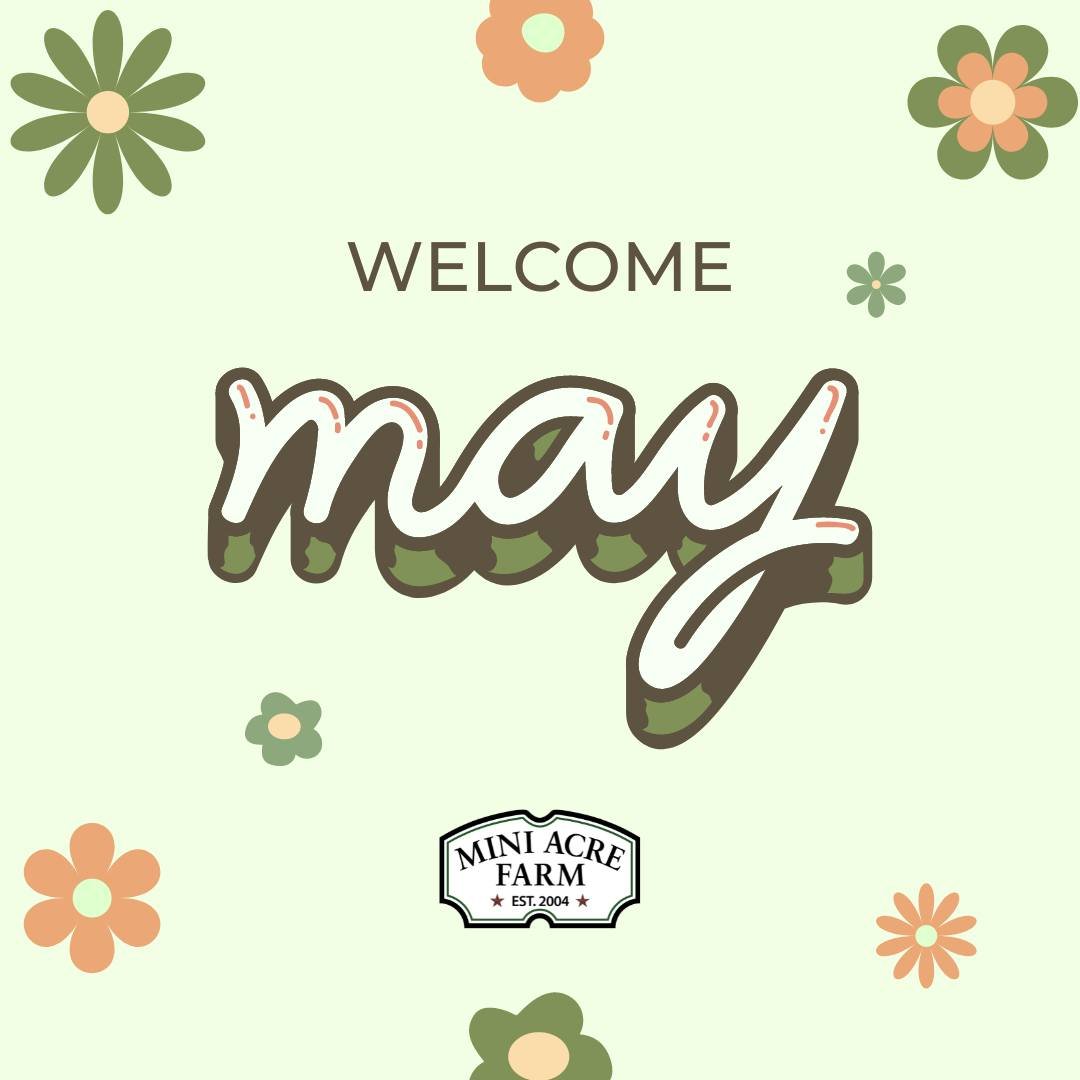 Welcome May! 💚
We are excited for this month.
Wanna know what's in bloom? @norfolkbotanicalgarden has their horticultural highlights for May on their website. 
https://norfolkbotanicalgarden.org/may-blooms/

Rhododendron, roses and more are ready. W