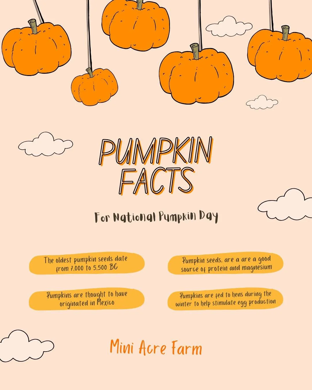 It's National Pumpkin Day. Show us your pumpkins and jack-o-lanterns in the comments - we love seeing pictures from the community directly!