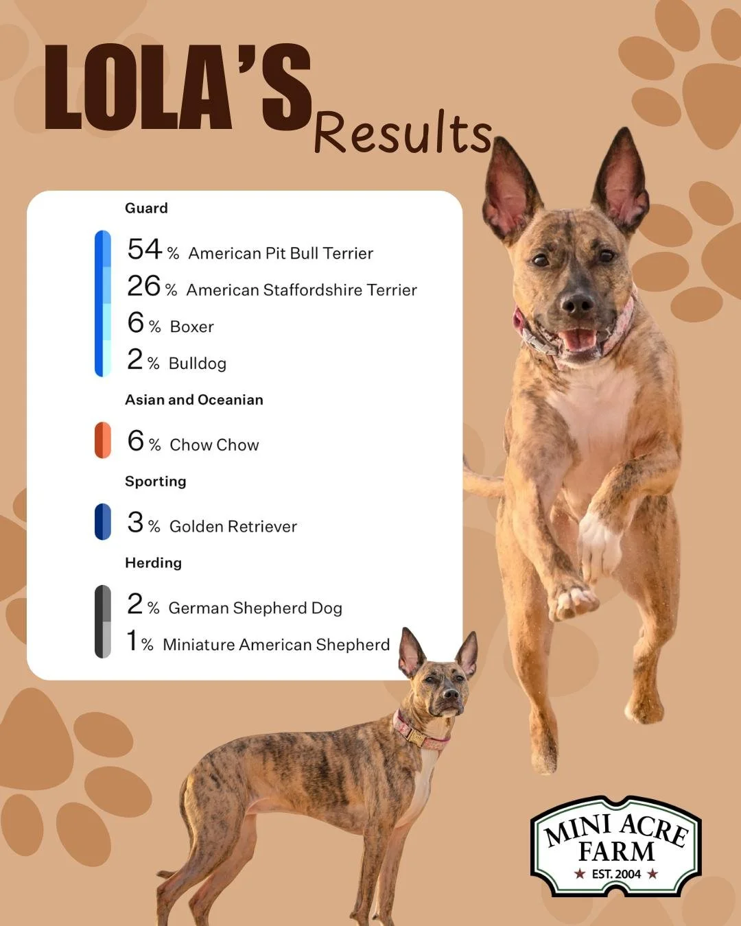 Here's Lola's DNA results for those who dropped a guess a couple days ago! Did you get any of them right?