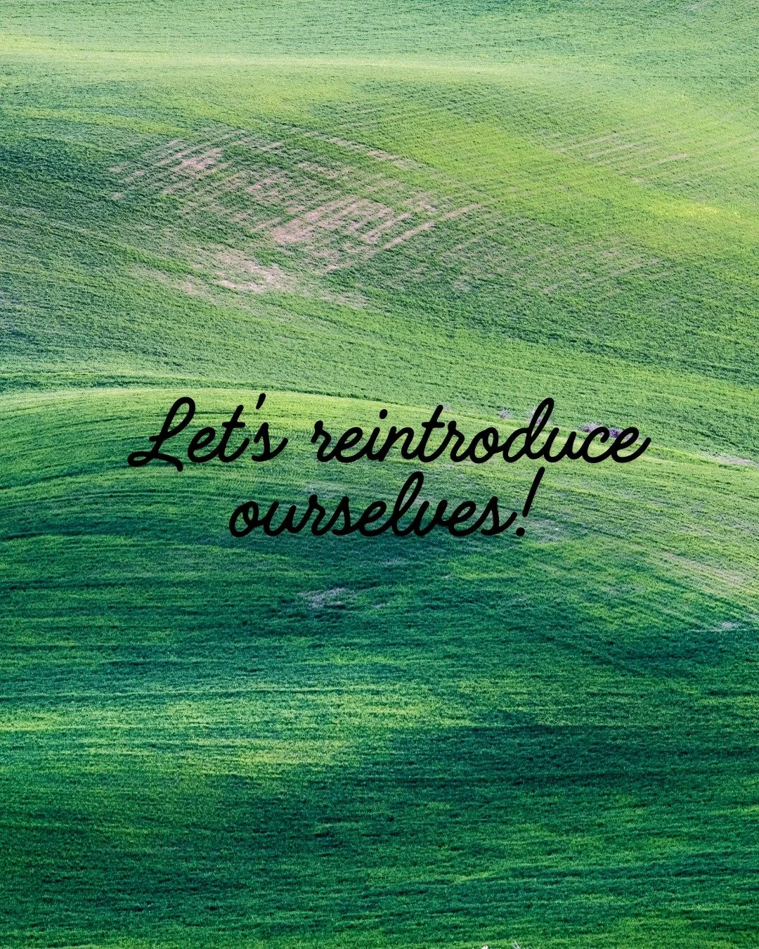 It's been a bit since we showed our pictures to the community (outside of Molly &amp; Lola but let's be real - they are the stars anyways!) 🐕🐕🐕

We are excited to see what's in store for Mini Acre Farm in 2026. Join us to find out!
