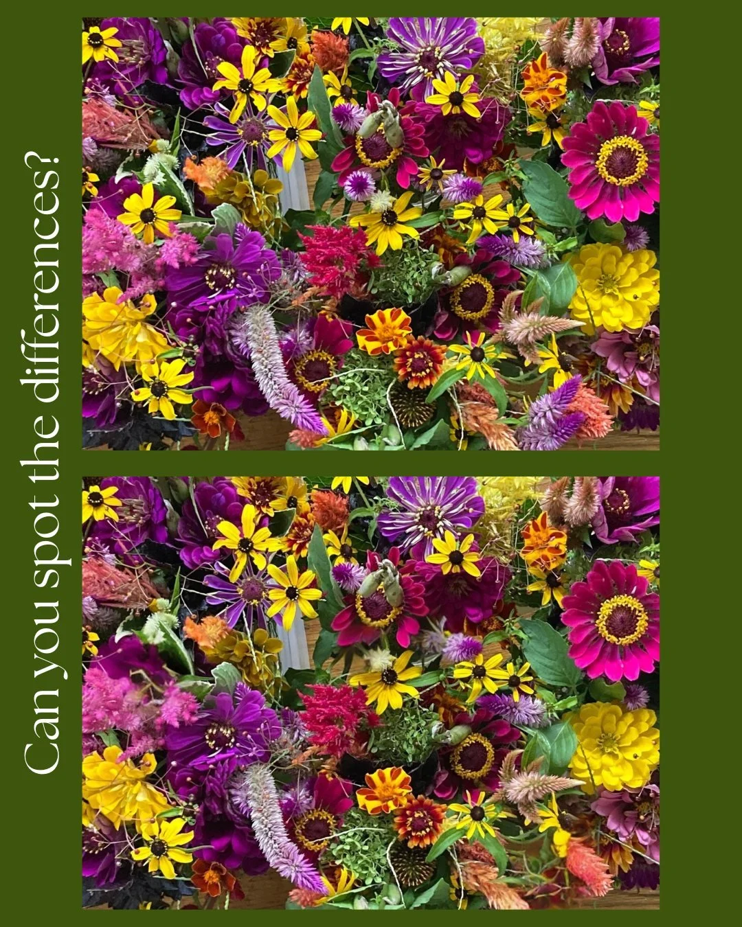 We removed some flowers from our beautiful bouquet! Can you spot them? You can save or screenshot this post and circle them. Show us in the comments!

Solution comes tomorrow. 💐🌷🌹🪻🌺🌸🌼🌻