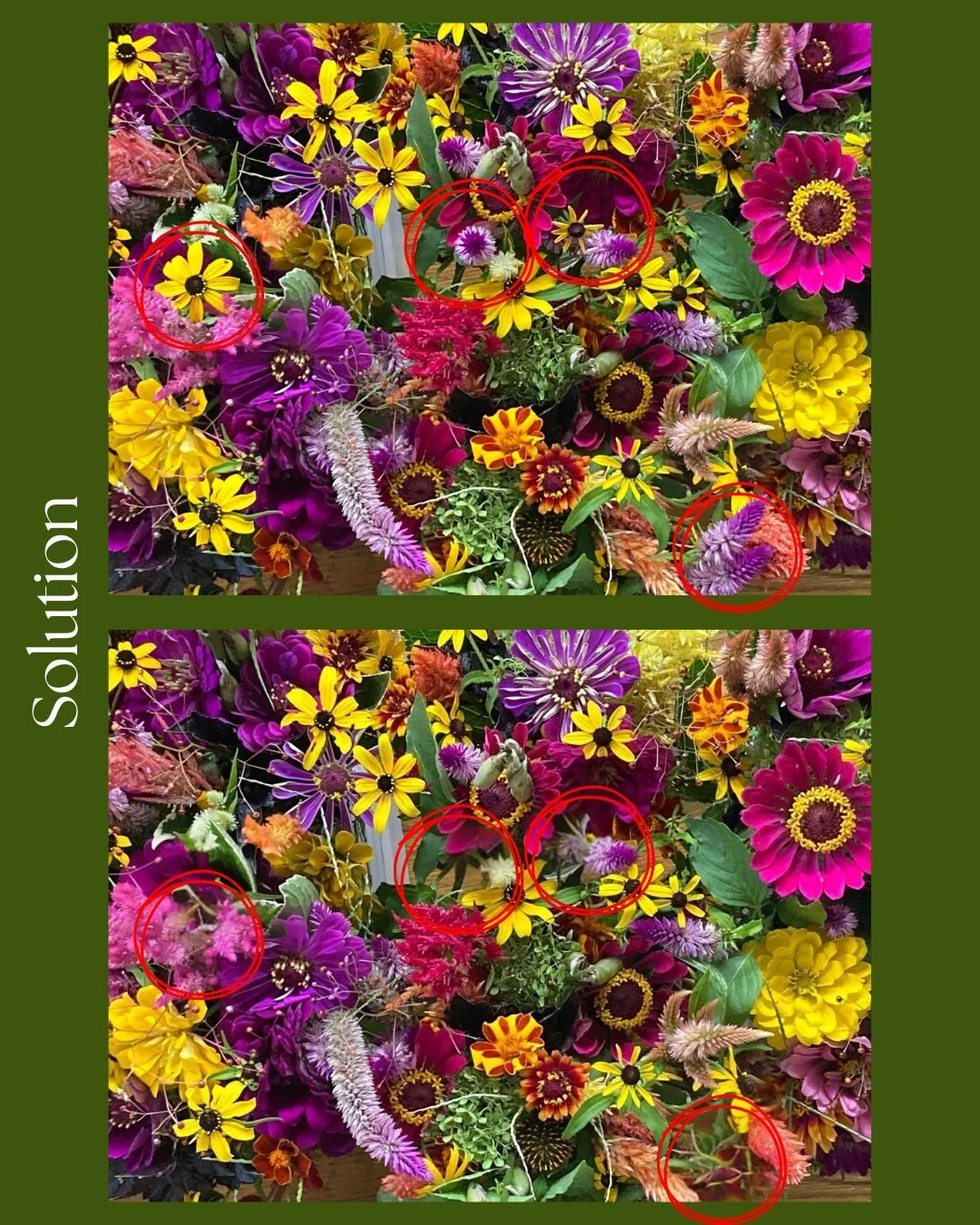 Here are the four flowers we hid yesterday!! We think the bouquet is beautiful with or without those four though. So excited for our flower season! 💐🌷🌹🪻🌺🌸🌼🌻