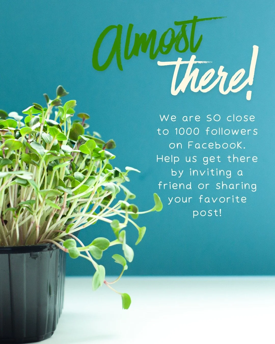 We are not even 20 likes away from hitting 1k followers on Facebook. What an exciting milestone and thank YOU for being part of it already.

Help us reach those final likes by sharing your favorite MAF post or inviting a friend to like the page.
Also