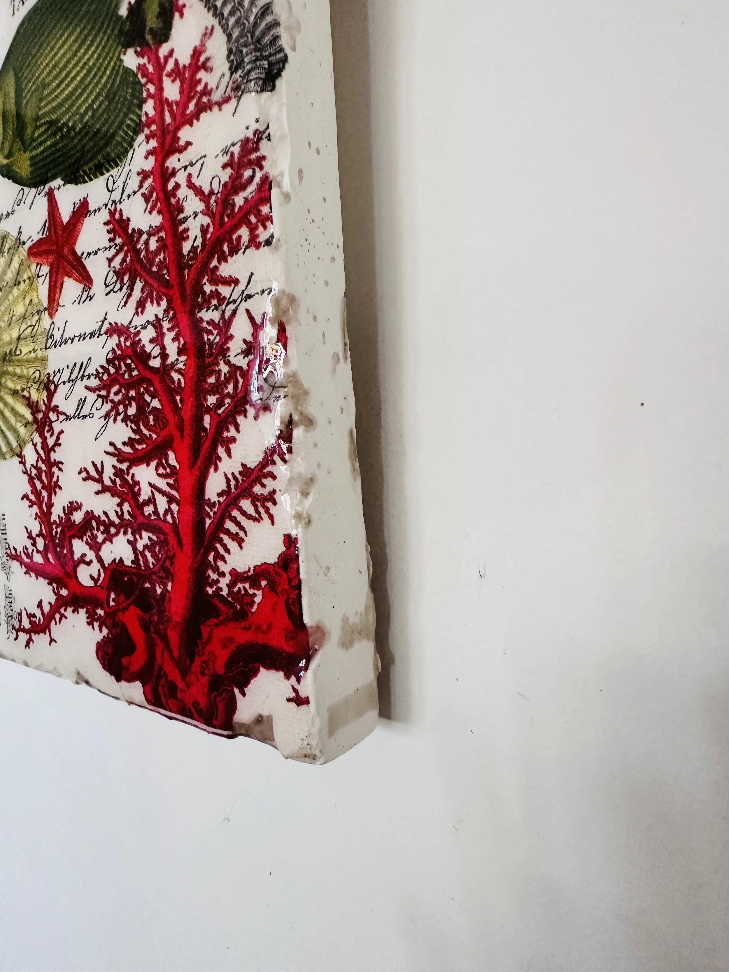 IMG_0242.jpeg