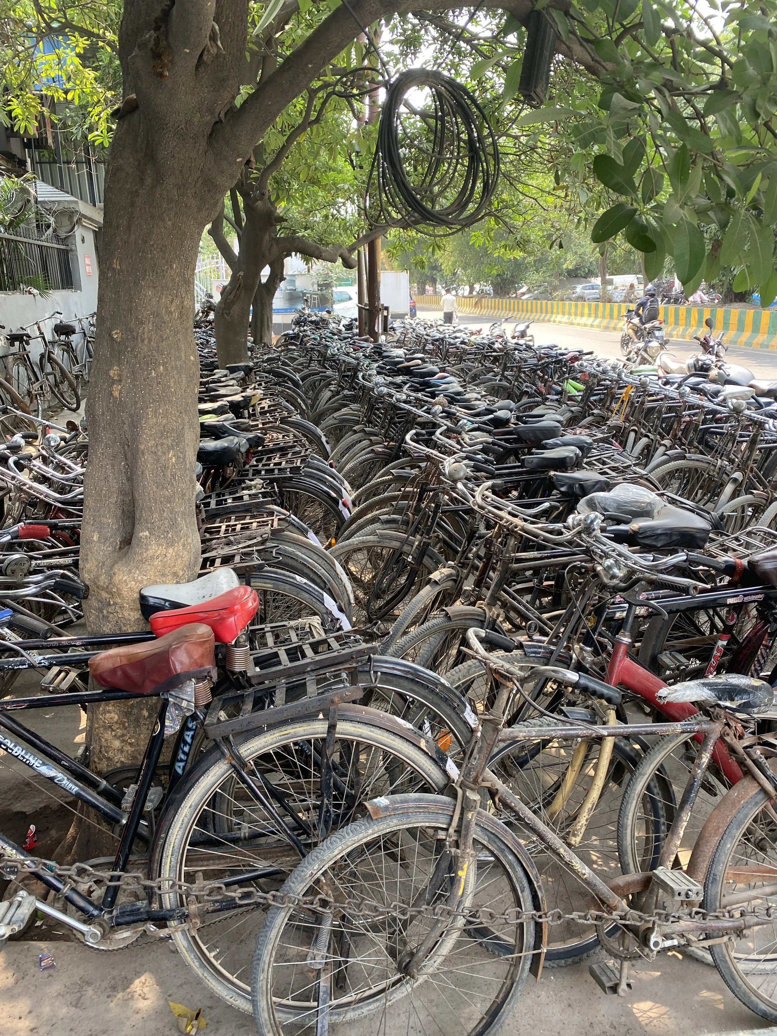  Commuter caste. Bicycles outside a garment factory.   Noida, 2023. 