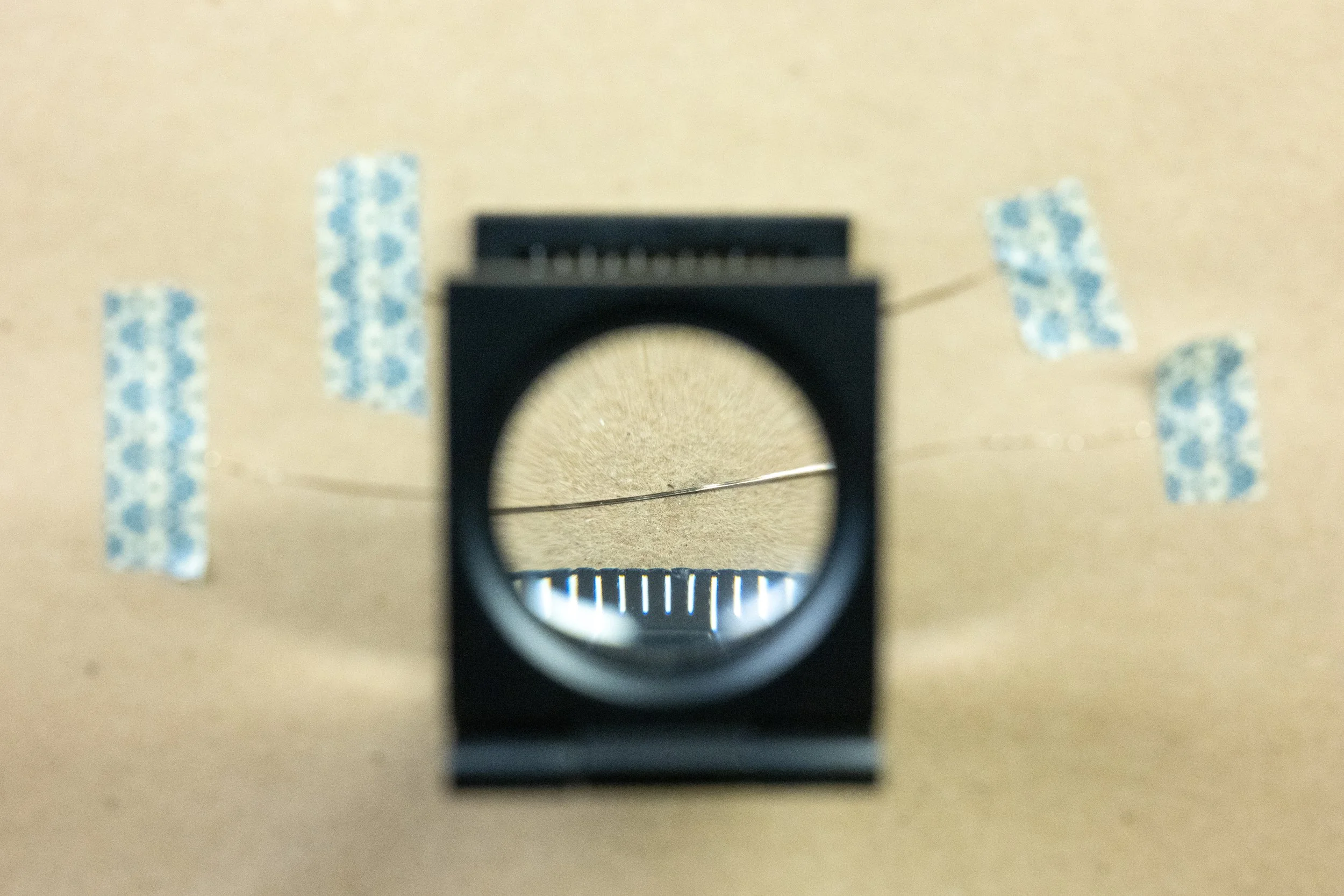   Zari  [metal thread] for embroidery close-up.   New York, 2026. Photo by Filip Wolak. 