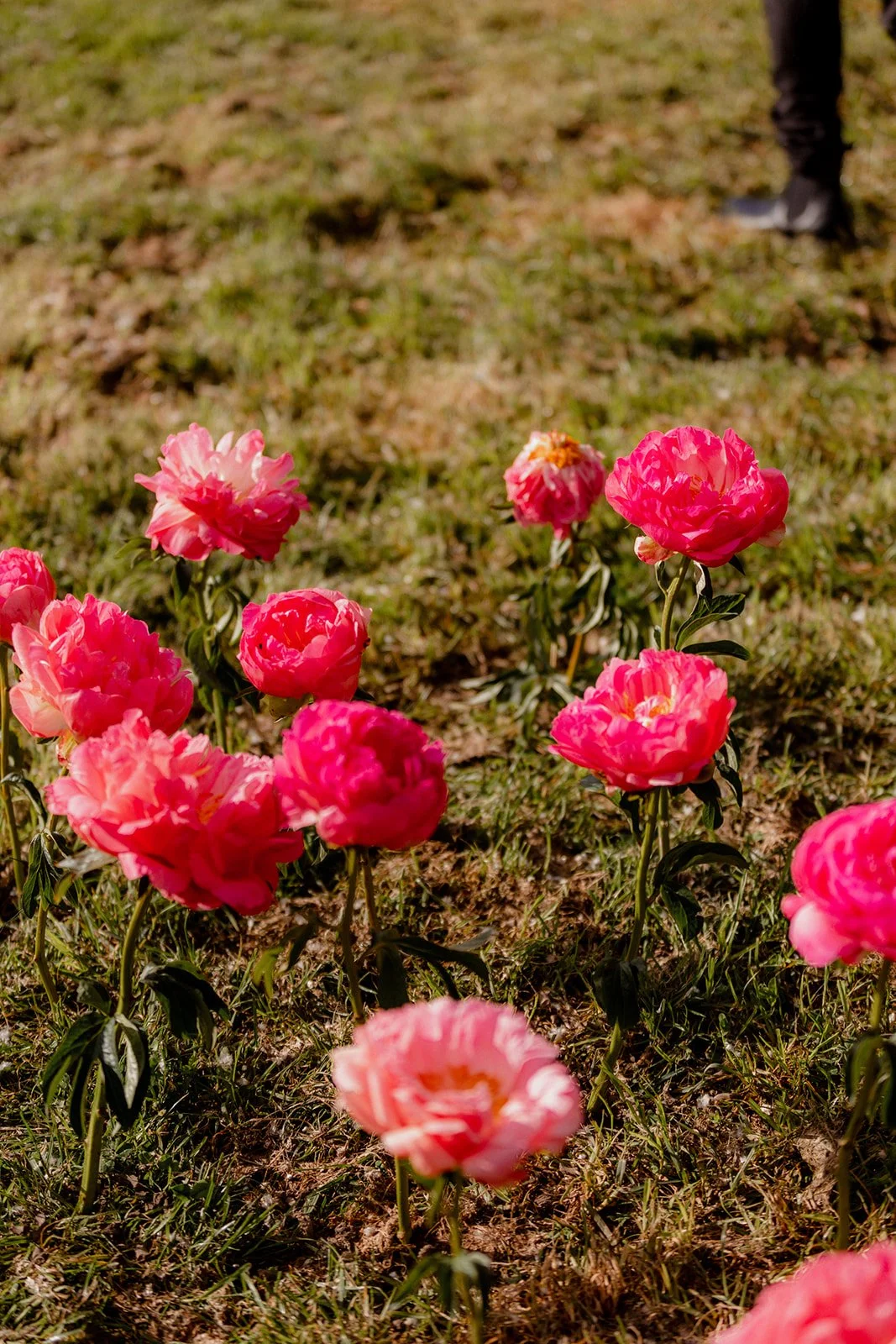 Enchanted Ball Photo Library 2022-031.jpg