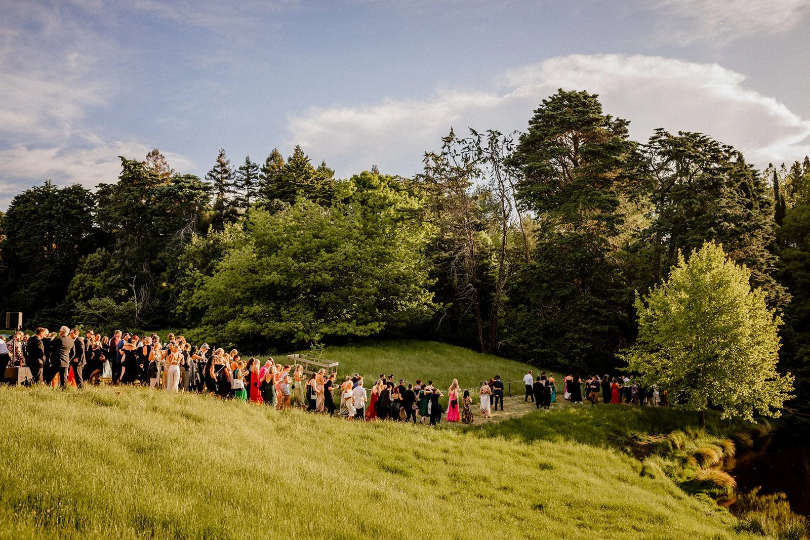 Enchanted Ball Photo Library 2022-092.jpg