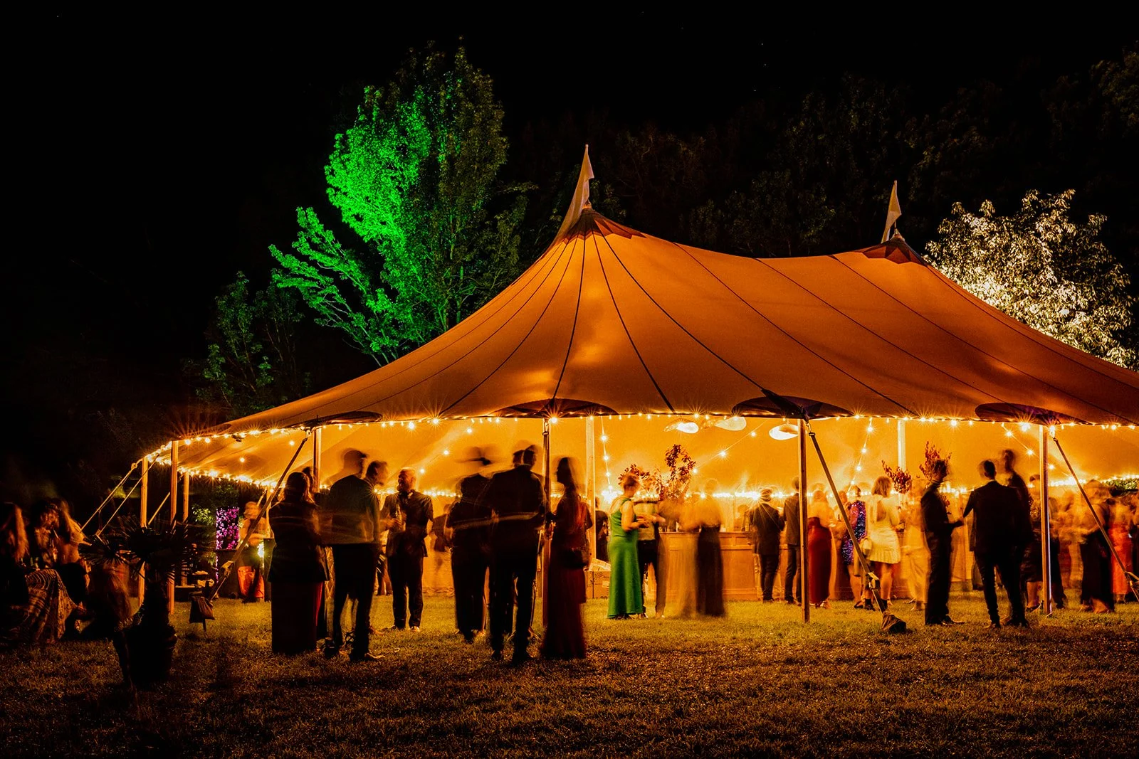 Enchanted Ball Photo Library 2022-247.jpg