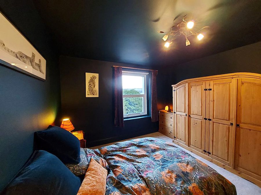 Renew Decorators | Interior Painting Dark Moody Bedroom