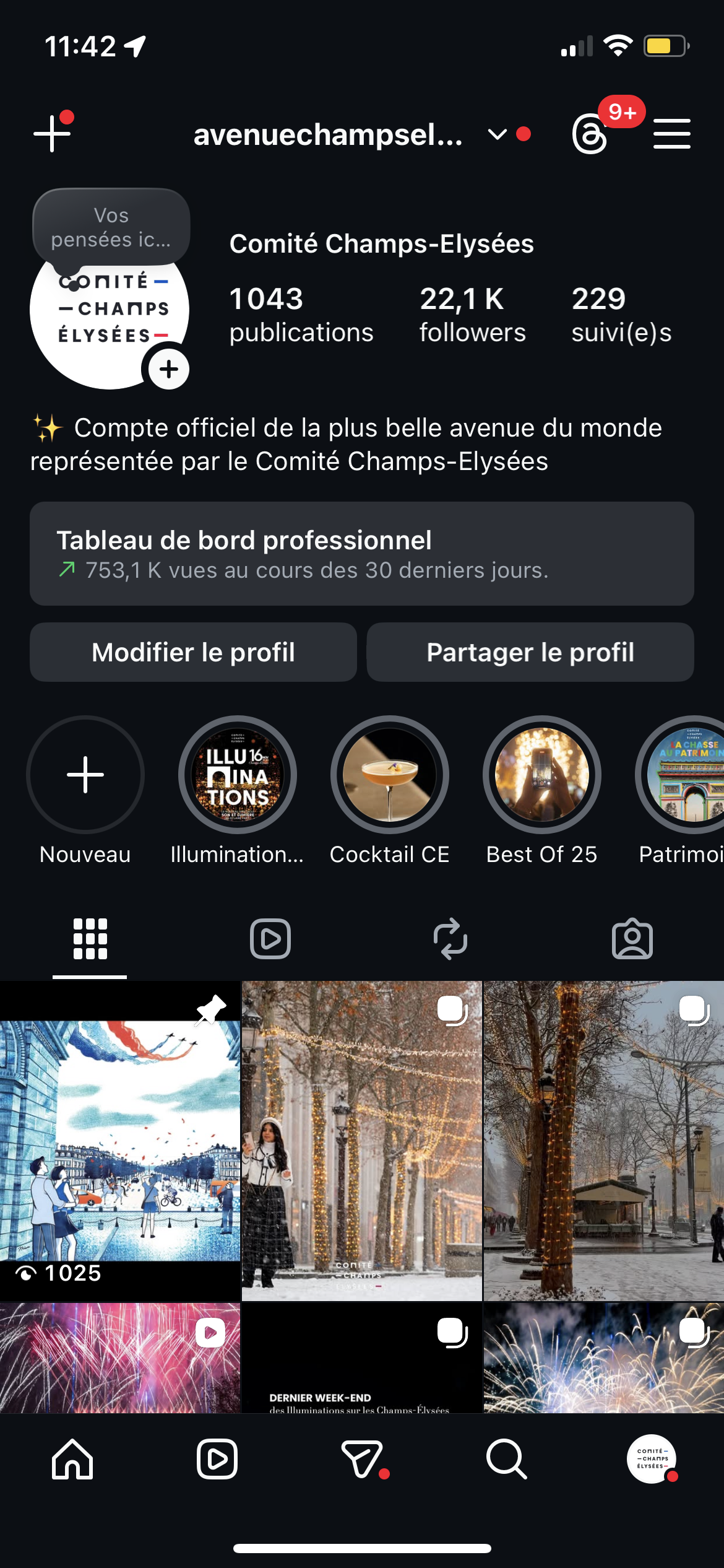 Capture d'écran du profil Instagram du Comité Champs-Elysées, montrant des publications de lumières et de décorations hivernales. Le profil a 1043 publications, 22,1 K abonnés, et 229 abonnements.