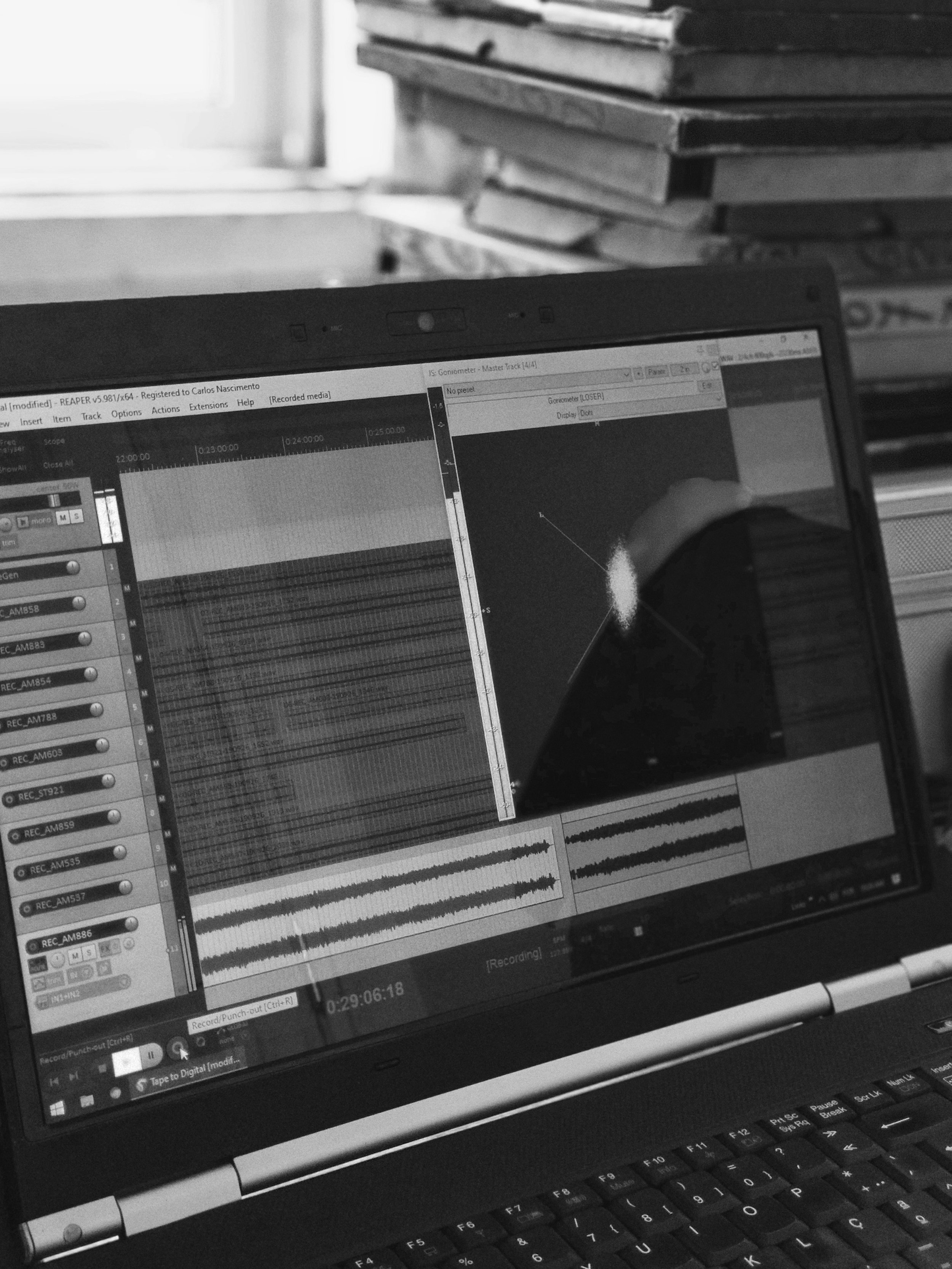 Recording the tapes with Cockos Reaper and checking the stereo information