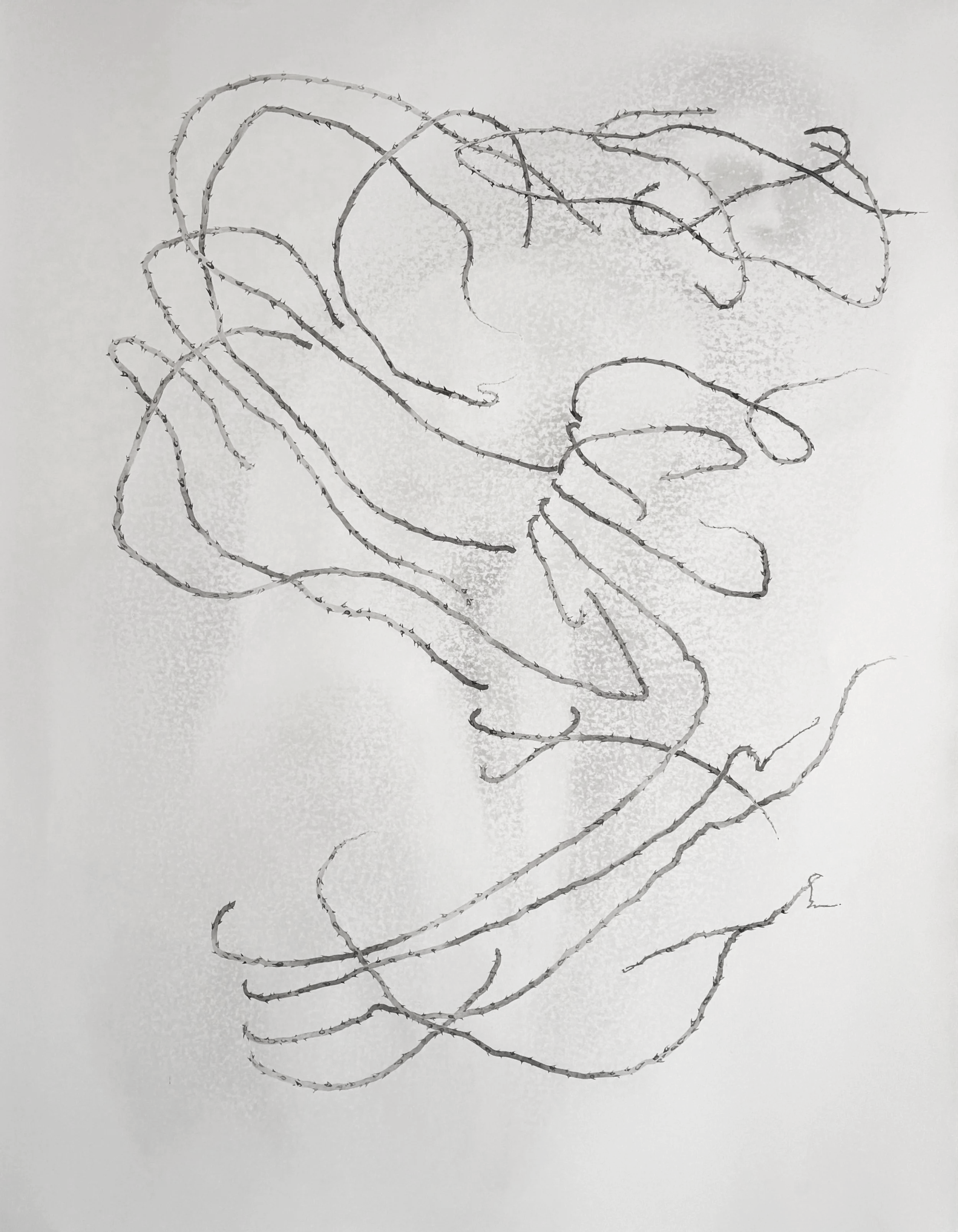 Kristina Rose Baker, created during 2025 Arroscia Residency