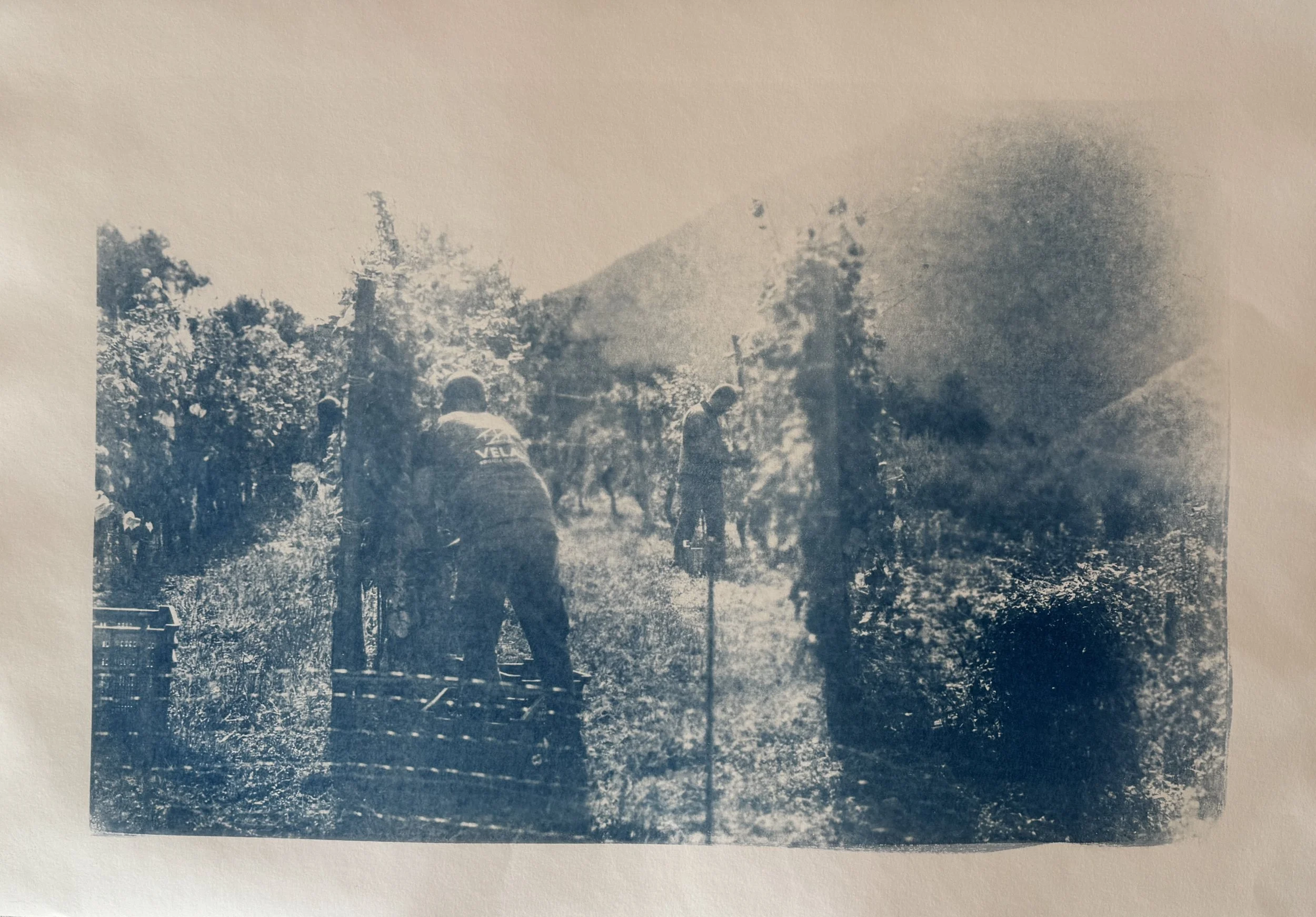 Camilo Correa-Costa, created during 2025 Arroscia Residency 