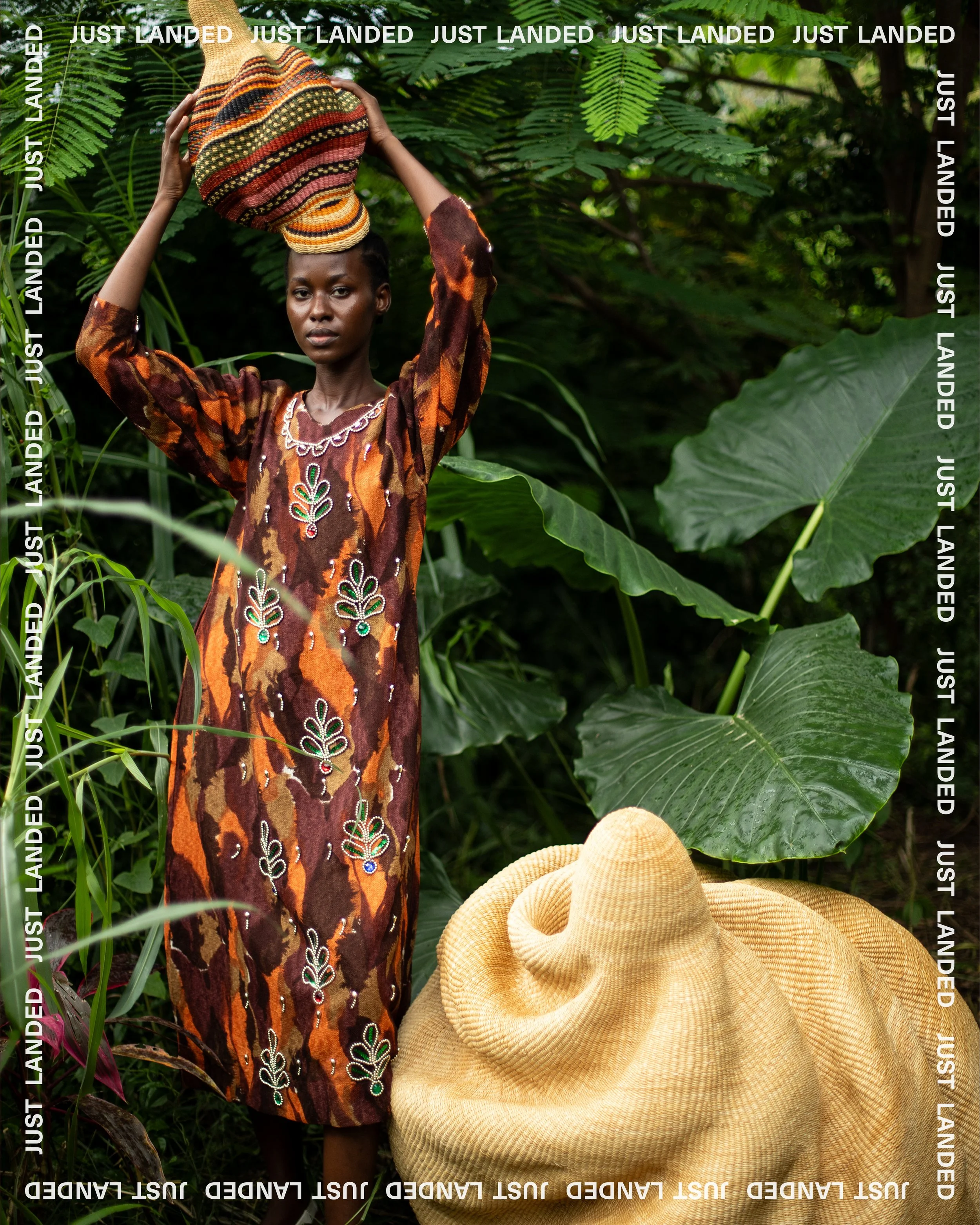 A4D_Just Landed.jpeg