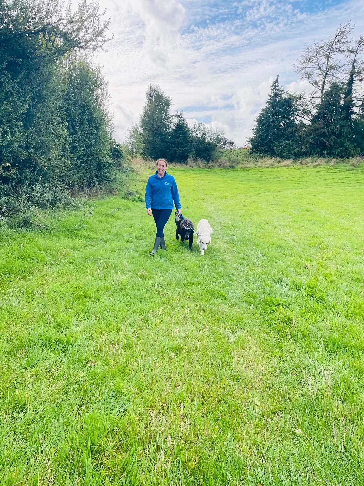 kennel assistant walking 2 dogs