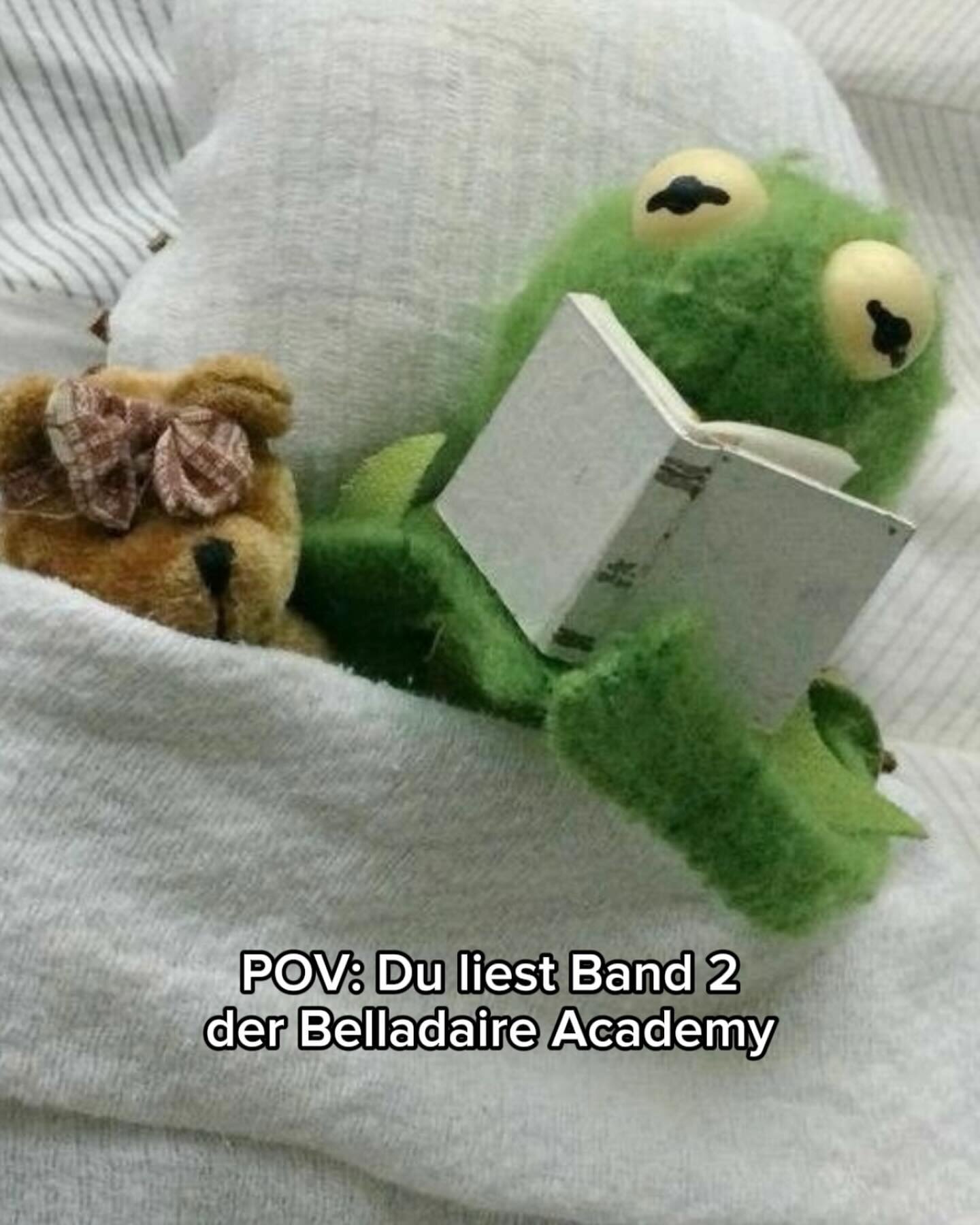 Nachdem ihr die Katzen Memes so mochtet, hat mein Buddy Kermit &bdquo;Rivals&ldquo; jetzt auch gelesen 🐸 schaut selbst, was er dabei ✨gef&uuml;hlt✨ hat hihi und haltet die Augen offen, Teil 2 folgt! 🌝😂🩵

#belladaireacademy #belladaireacademyofath