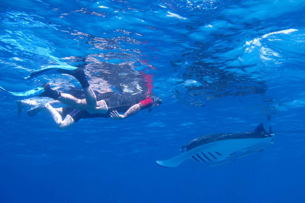 Snorkeling-maldivene.jpg