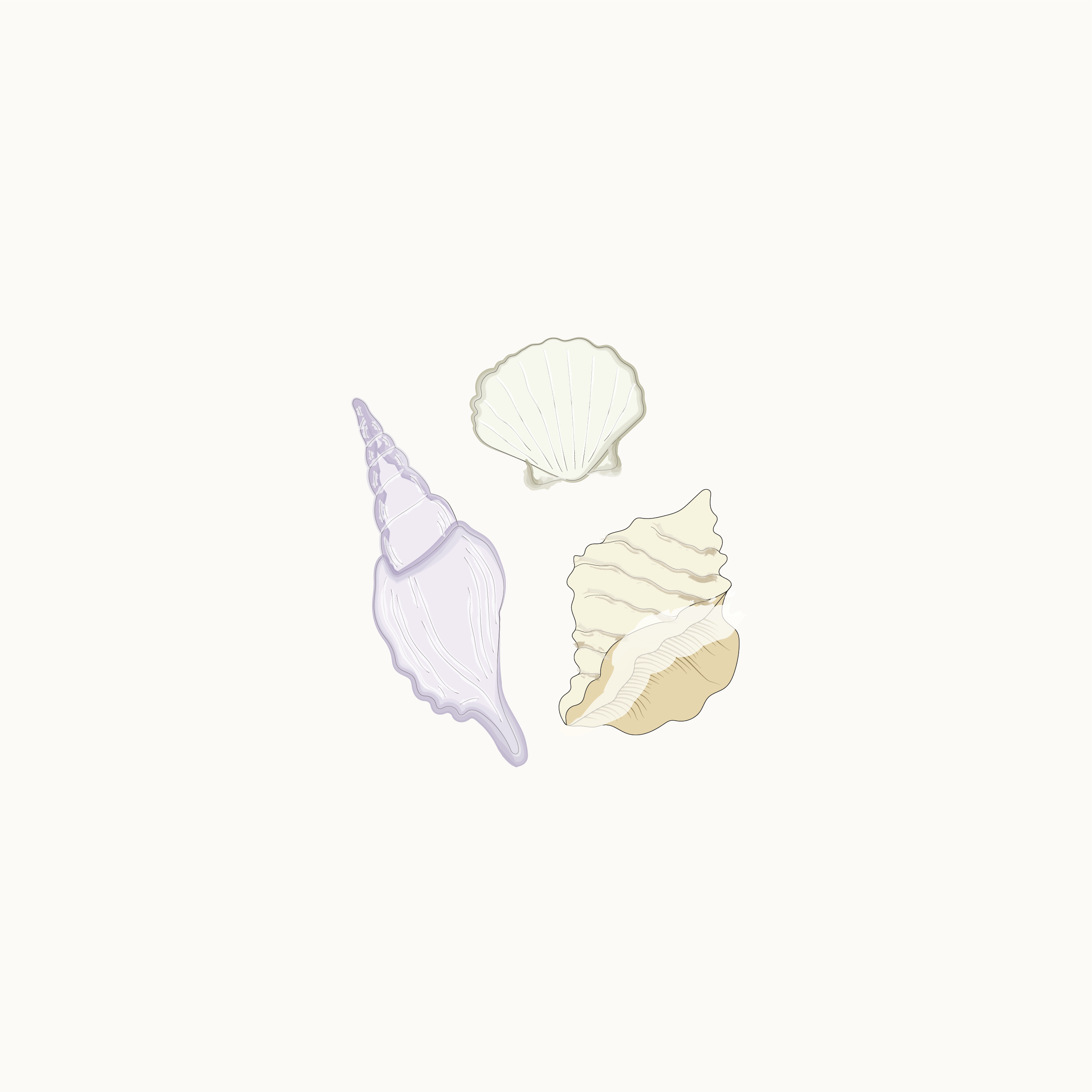 Shells.png