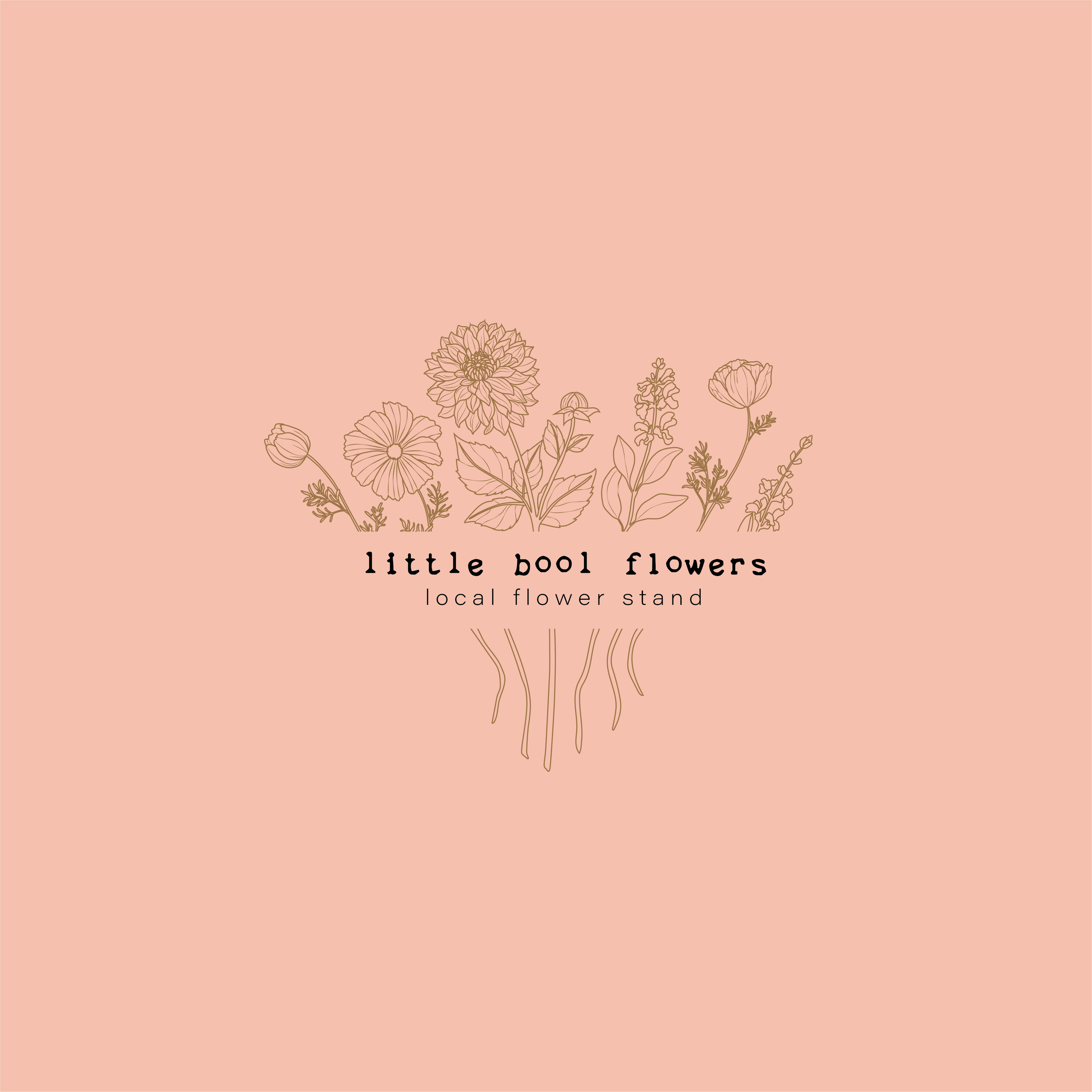 Little Bool - Pink background.png