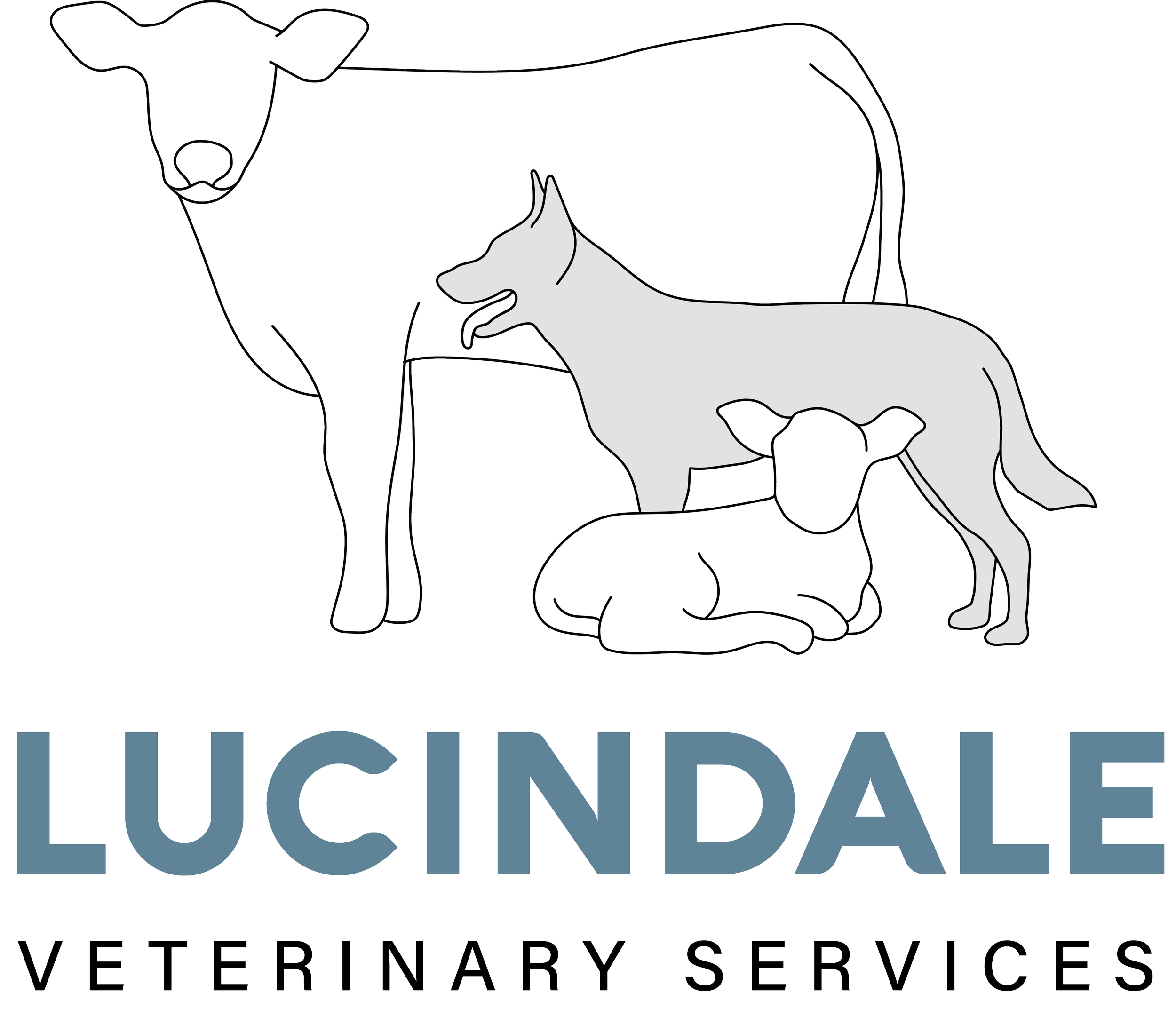 Lucindale VS.png