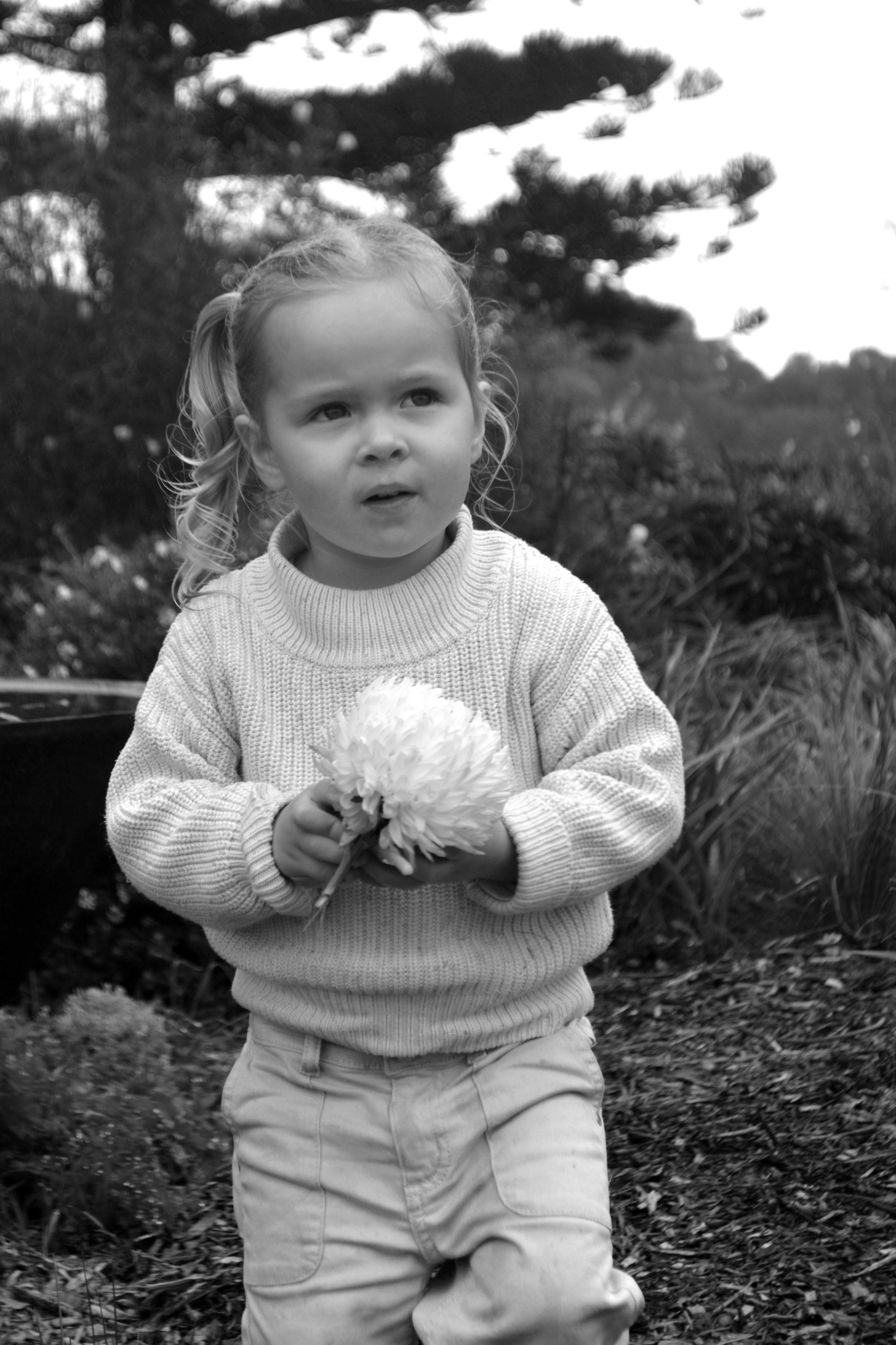 DSC_0209BW.jpg