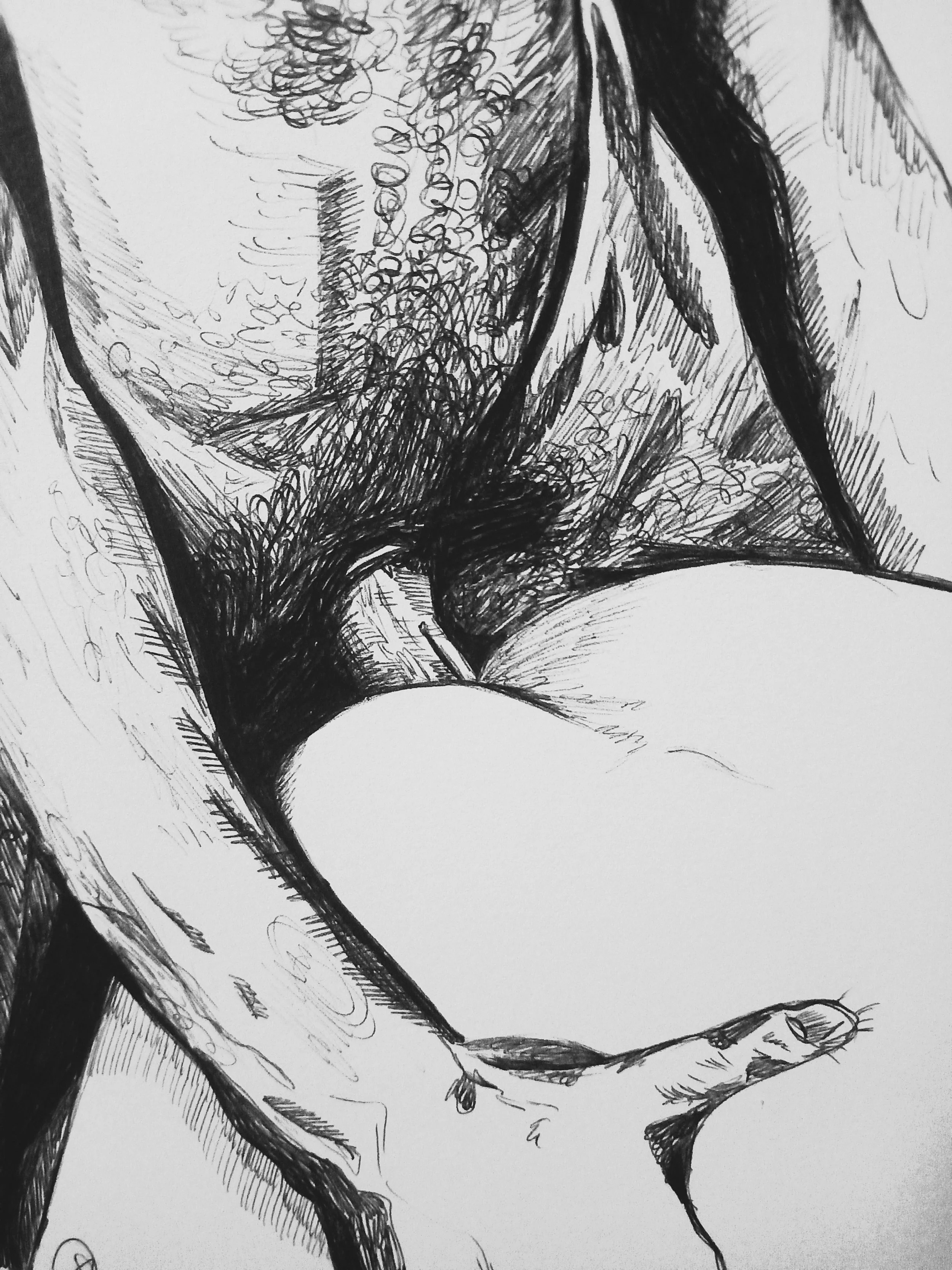 20250108_165213.jpg