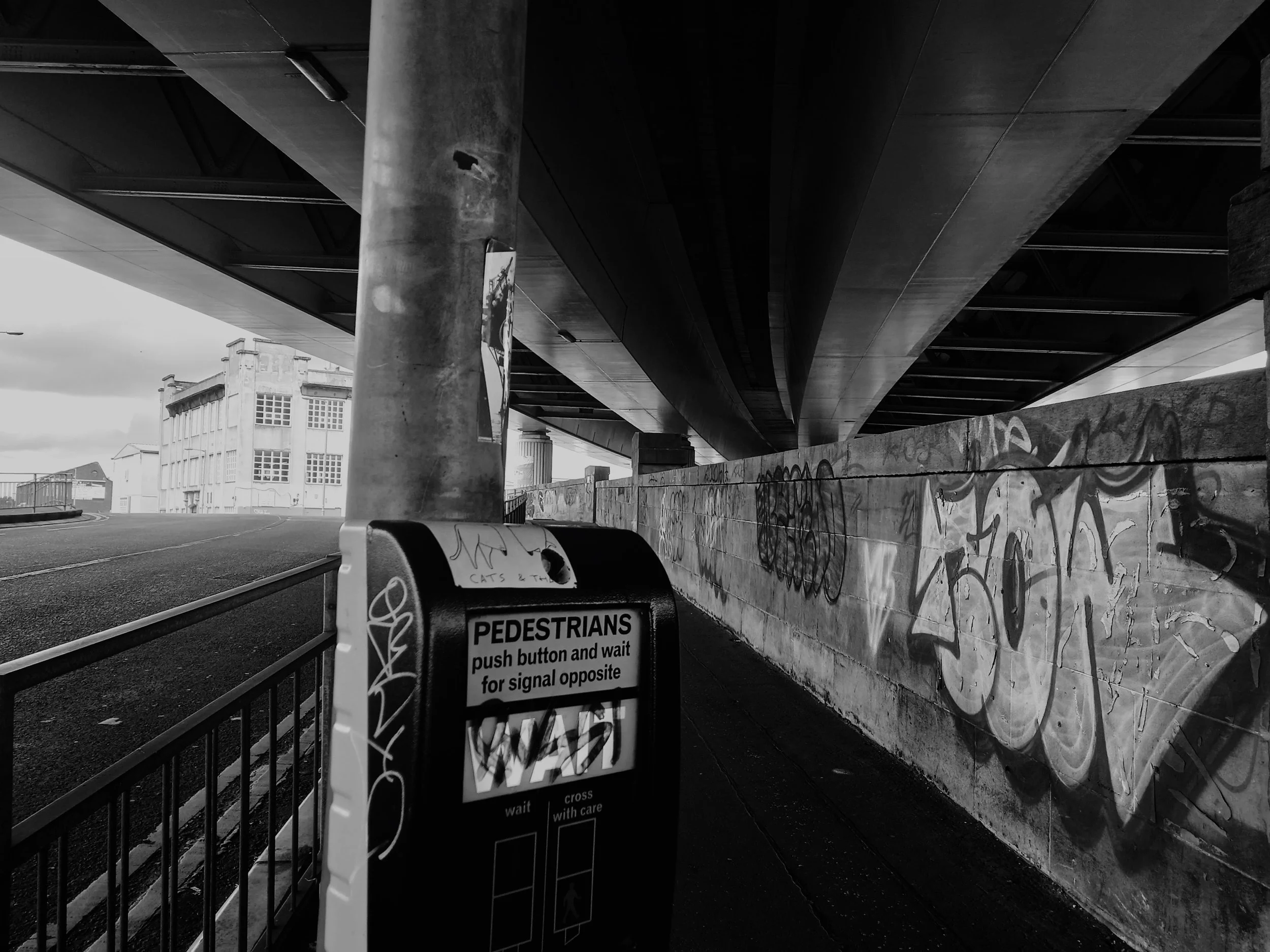 20240619_120610-EDIT.jpg