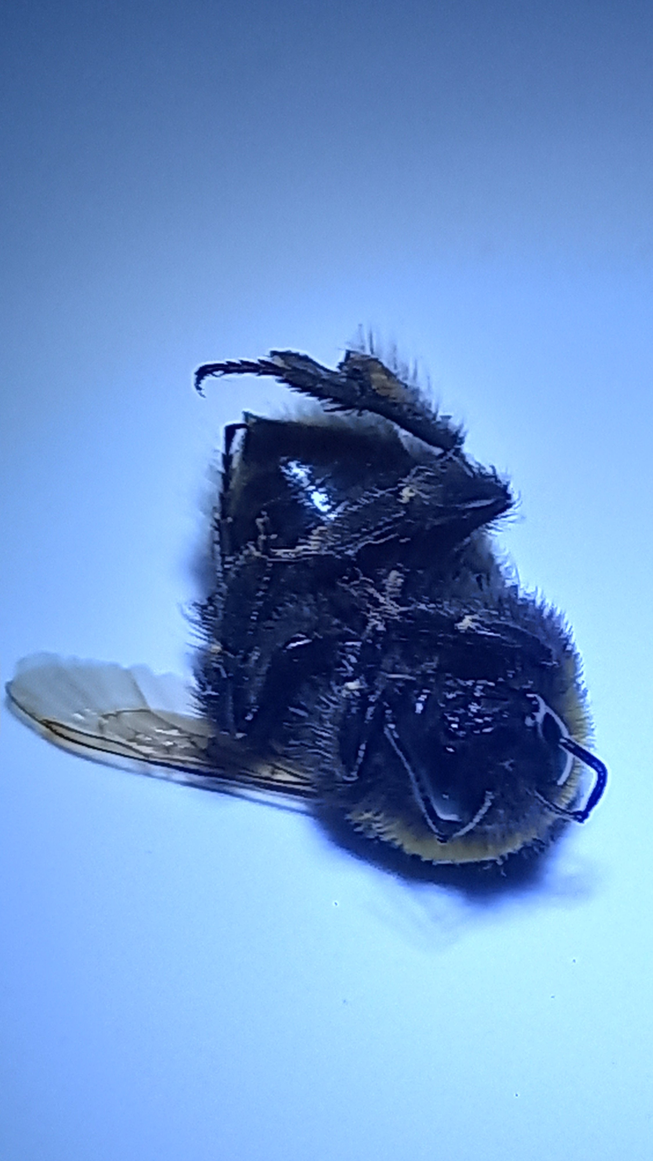 20250703_170254.jpg