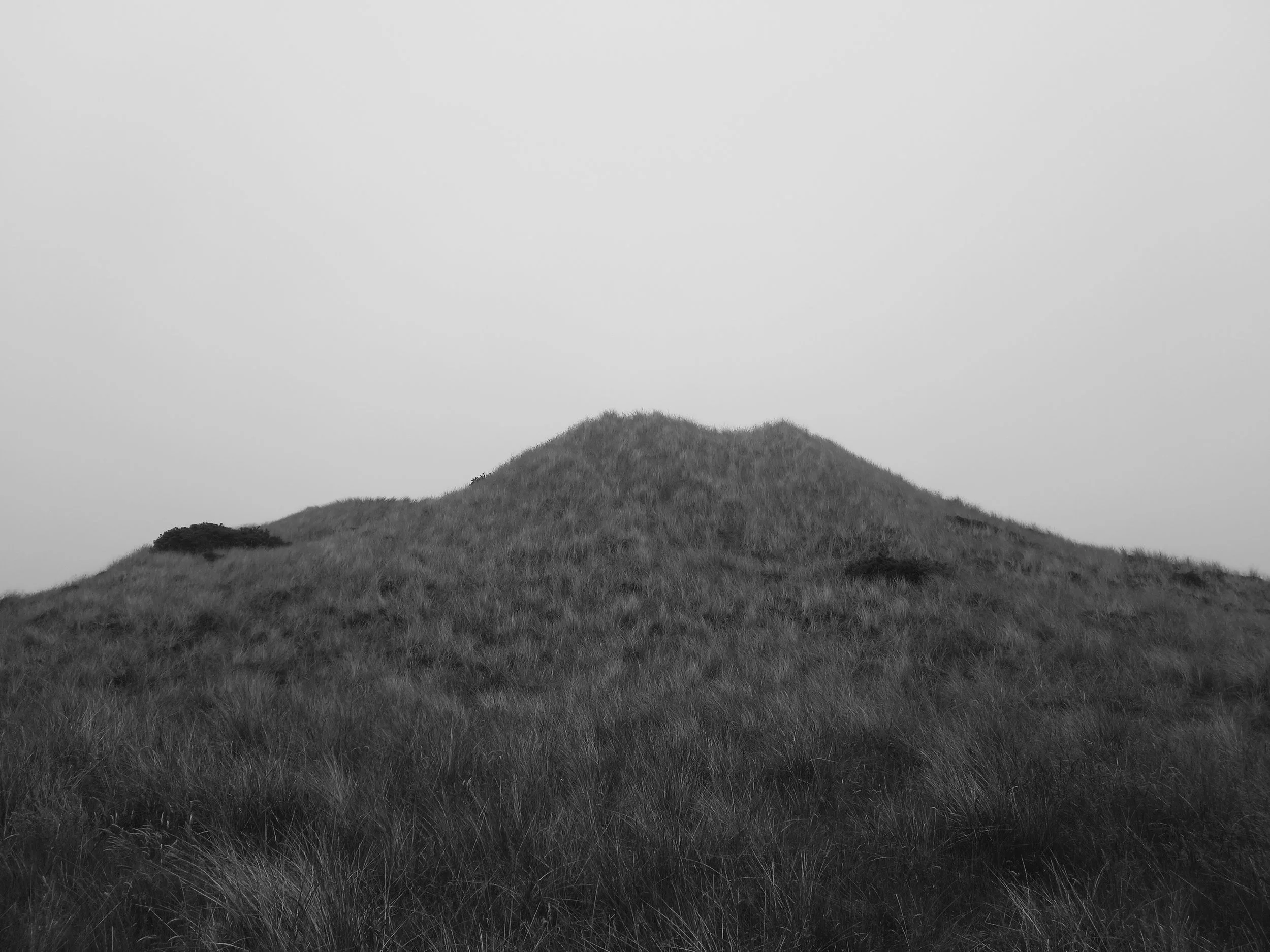 20240716_123326.jpg