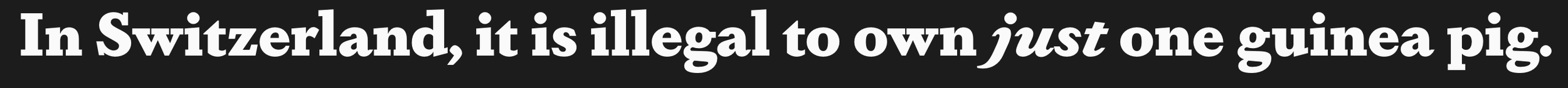 Screenshot 2023-10-20 at 7.13.20 PM.png