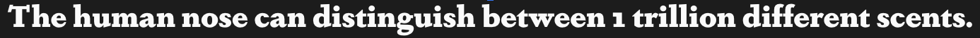 Screenshot 2023-08-28 at 10.01.56 PM.png