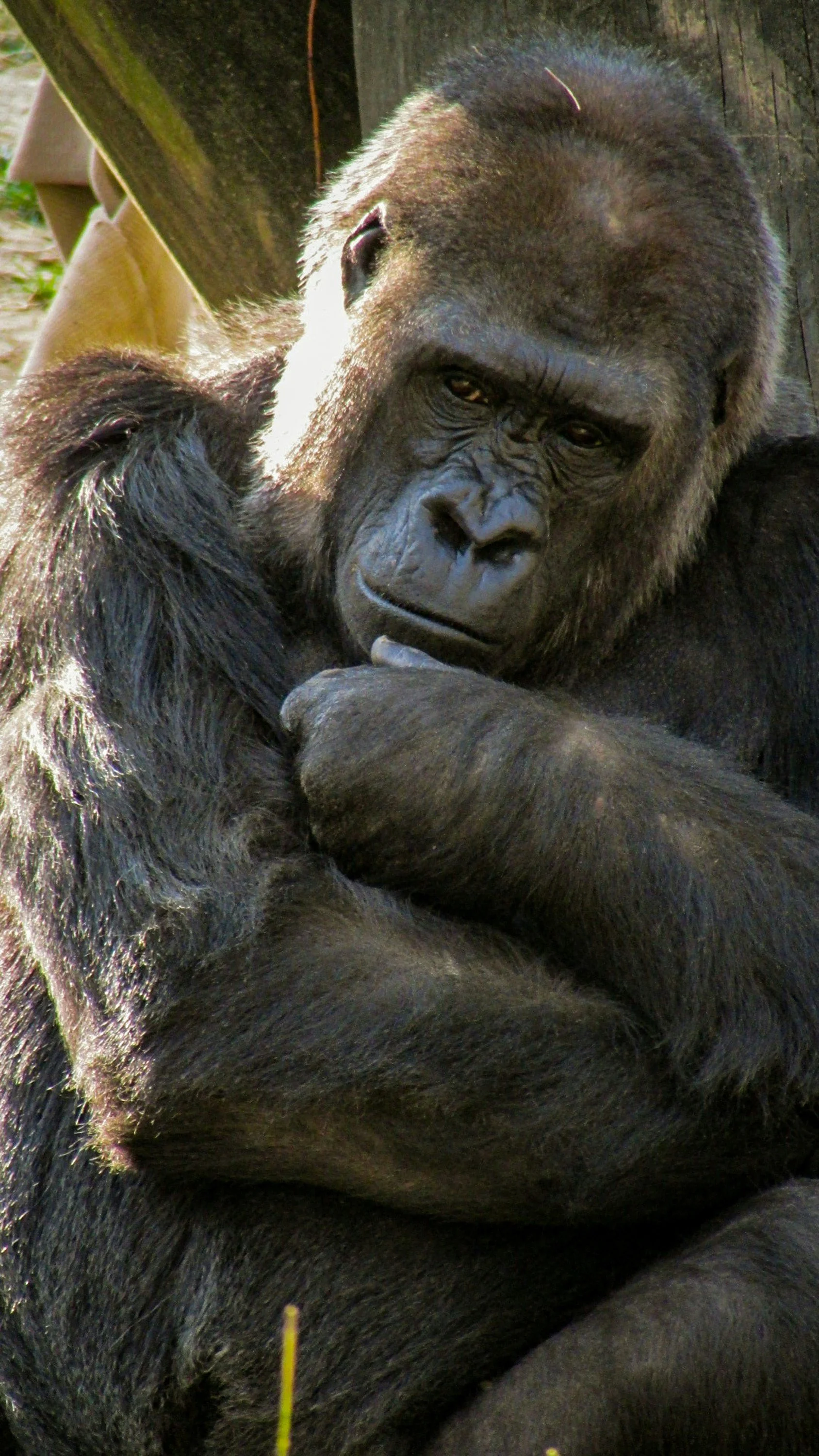 joshua-j-cotten-nhlNQuEgZi8-unsplash.jpg