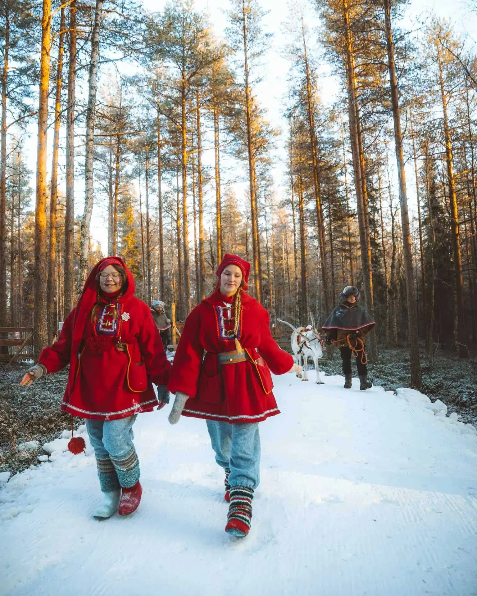 Apukka-reindeer-sleigh-ride-to-santa-apukka-resort-rovaniemi-lapland-finland-11.webp