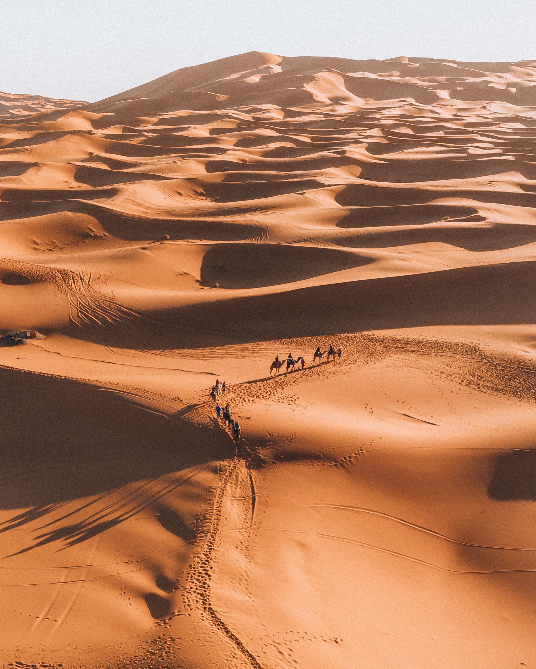 DJI_0388.jpg
