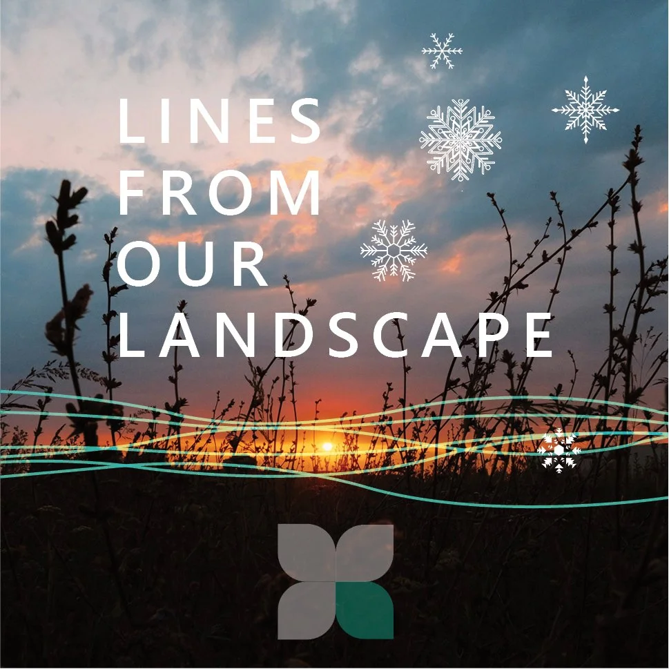 Lines from our Landscape - December 2025 