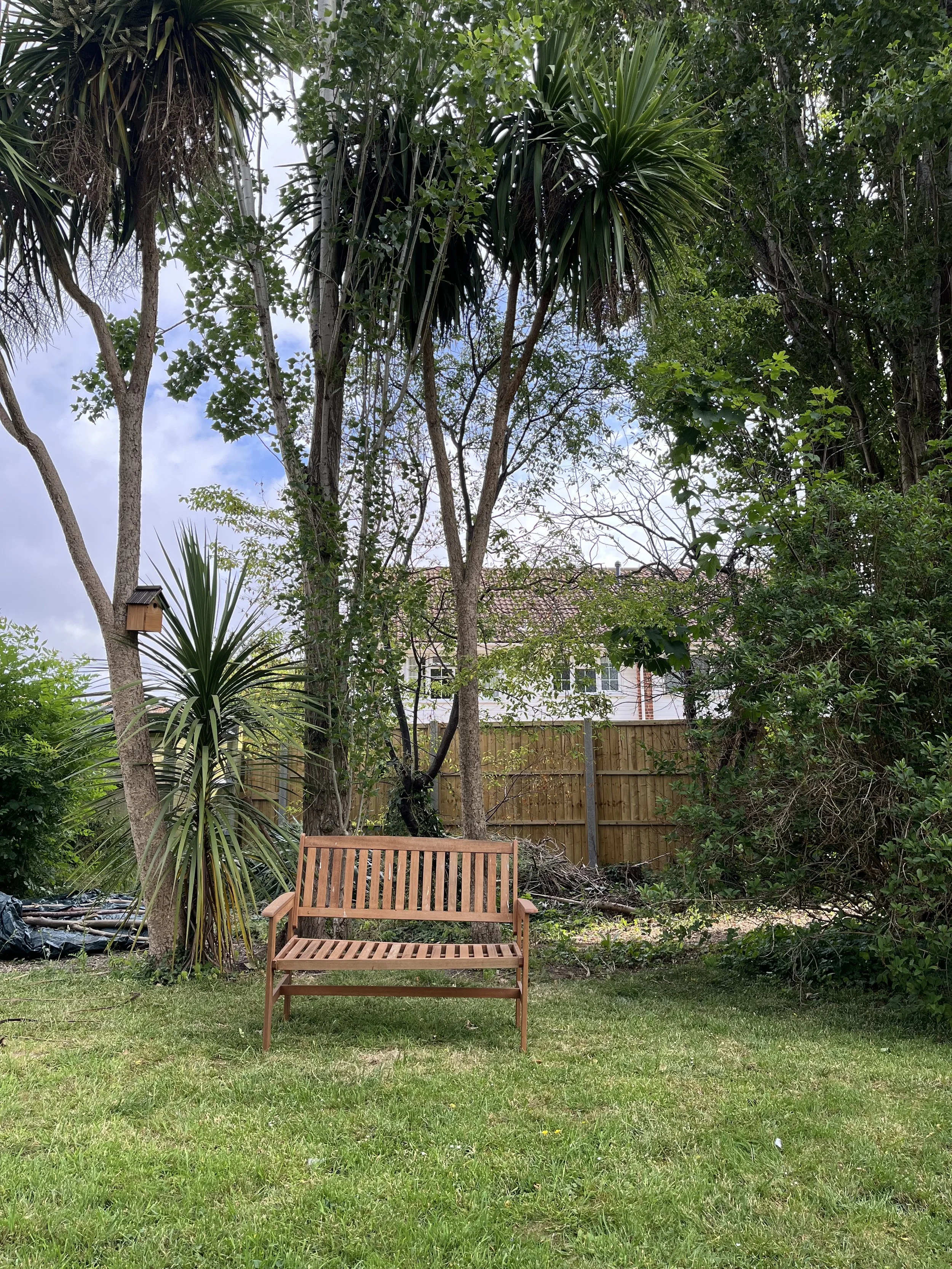 Garden 2.JPG