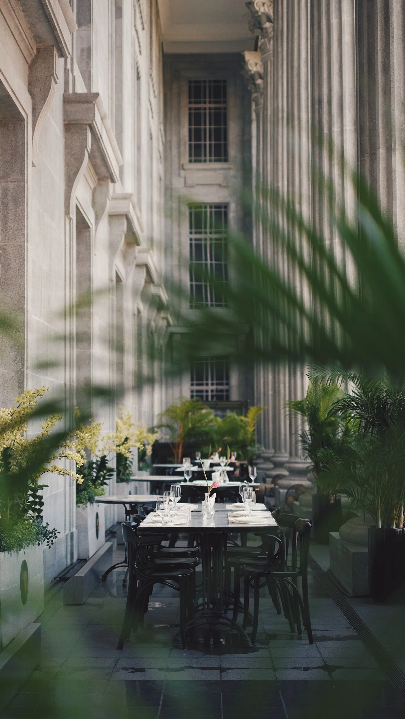 An elegant outdoor dining area with tables set for a meal, surrounded by large potted plants and greenery, with a historic building featuring tall columns and detailed architecture in the background.