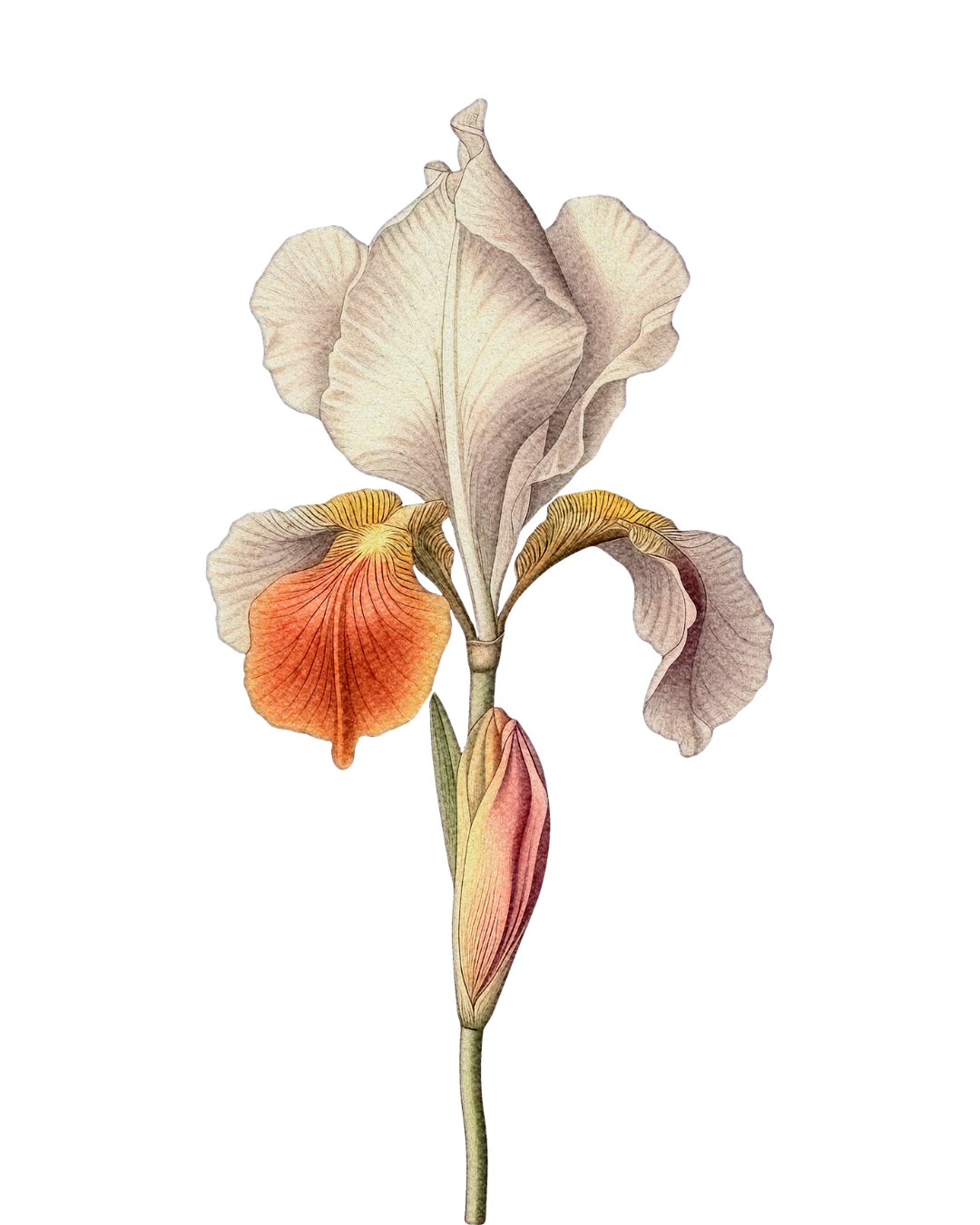 Avalon Within Online Immersion 2024 — Wiener Salon