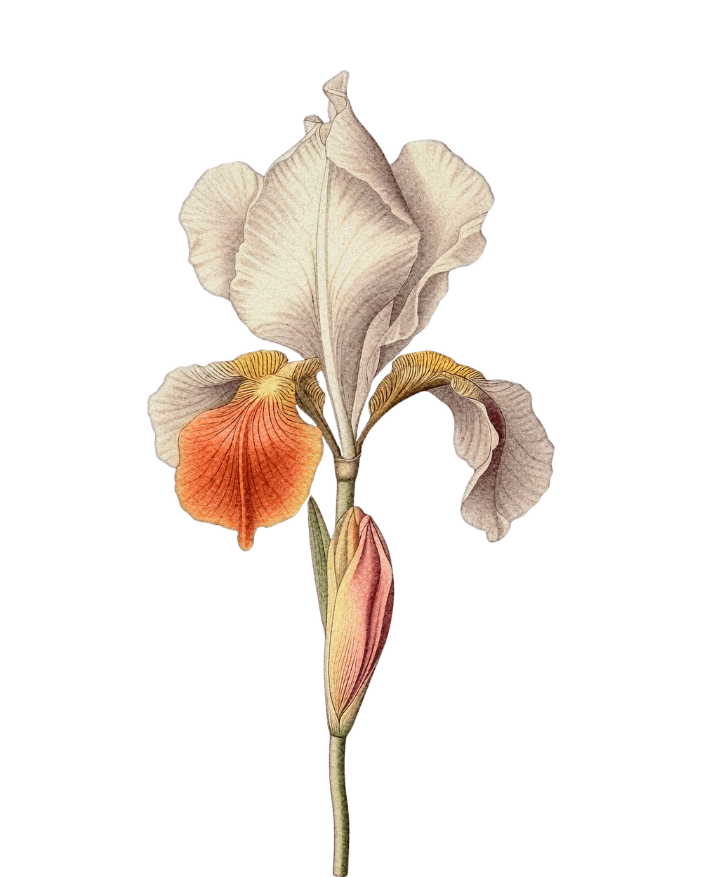 Avalon Within Online Immersion 2024 — Wiener Salon