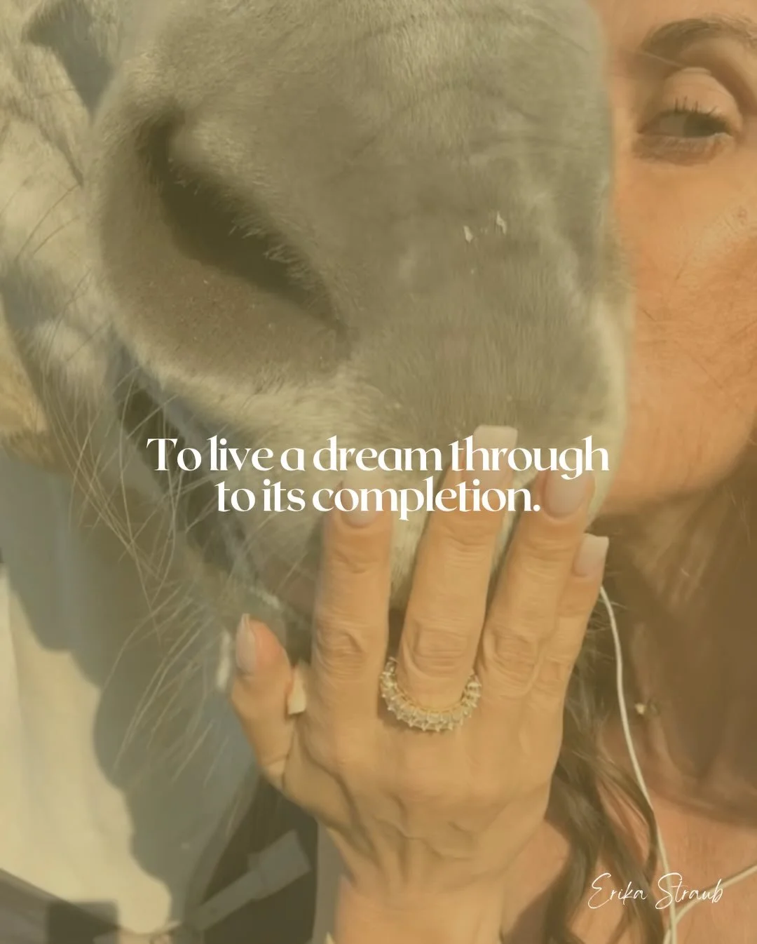 We so easily forget we&rsquo;re living inside a dream we once prayed for until we feel the threat of its expiration. 

What happens next when you&rsquo;ve lived a dream through to its completion. 

You can stretch out the moments but you can&rsquo;t 