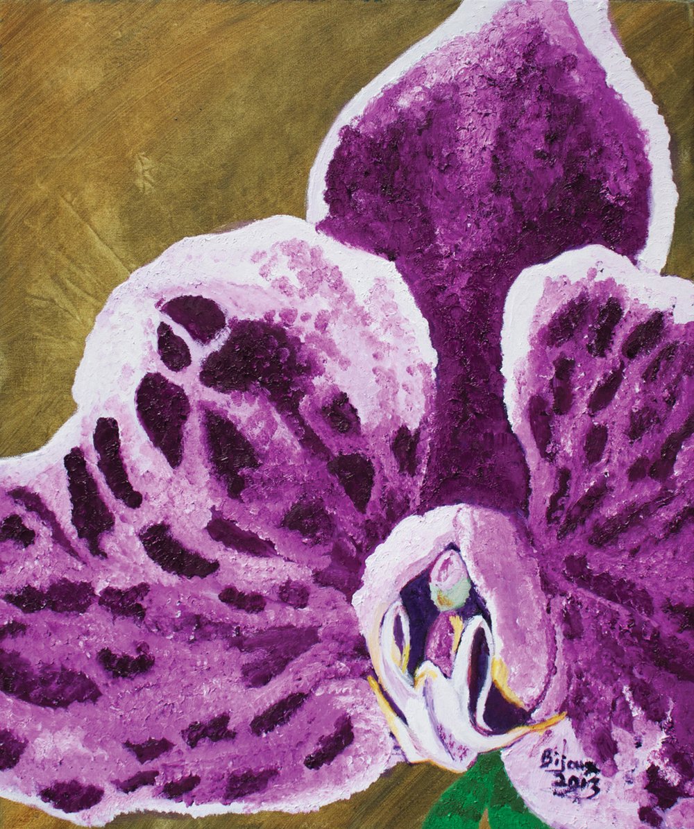 Purple Orchid