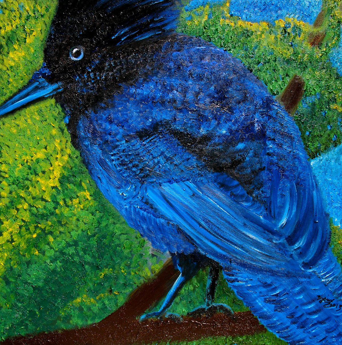 Steller's Jay - SOLD