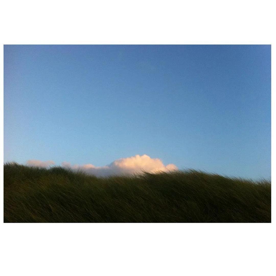 Soft like love // Iona // [ molecules of hope ]

- - -

#iona #love #photography
