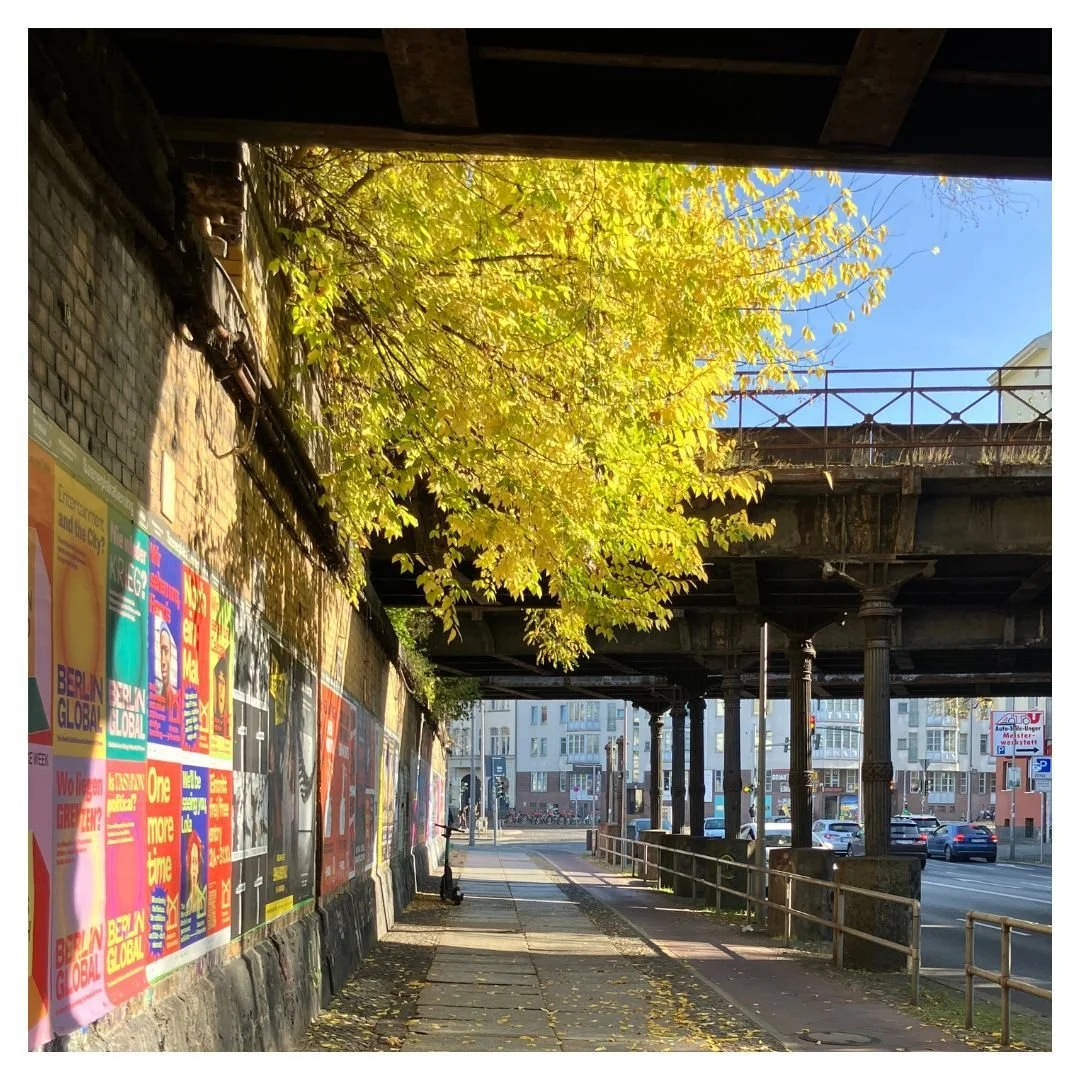 The low-slanting light of Berlin Autumn sun illuminating the trees &amp; catching the leaves as they spiral to the ground is moment-to-moment beauty. But as I take each picture I am stabbed by this thought: why am I allowed safety to love the neighbo